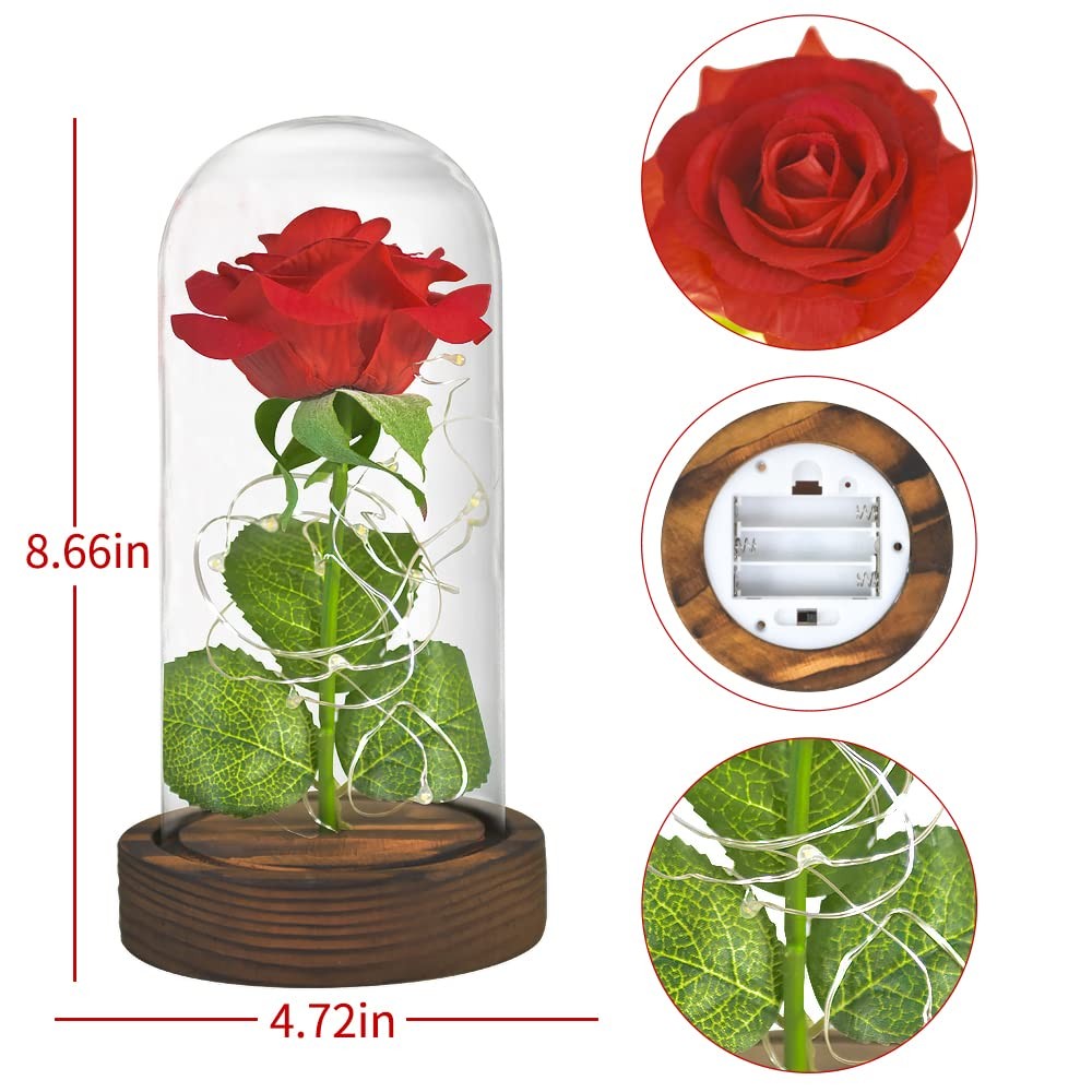 Preserved Rose Enchanted Rose Red Silk Rose in Glass Dome with Lights Pine Ba…