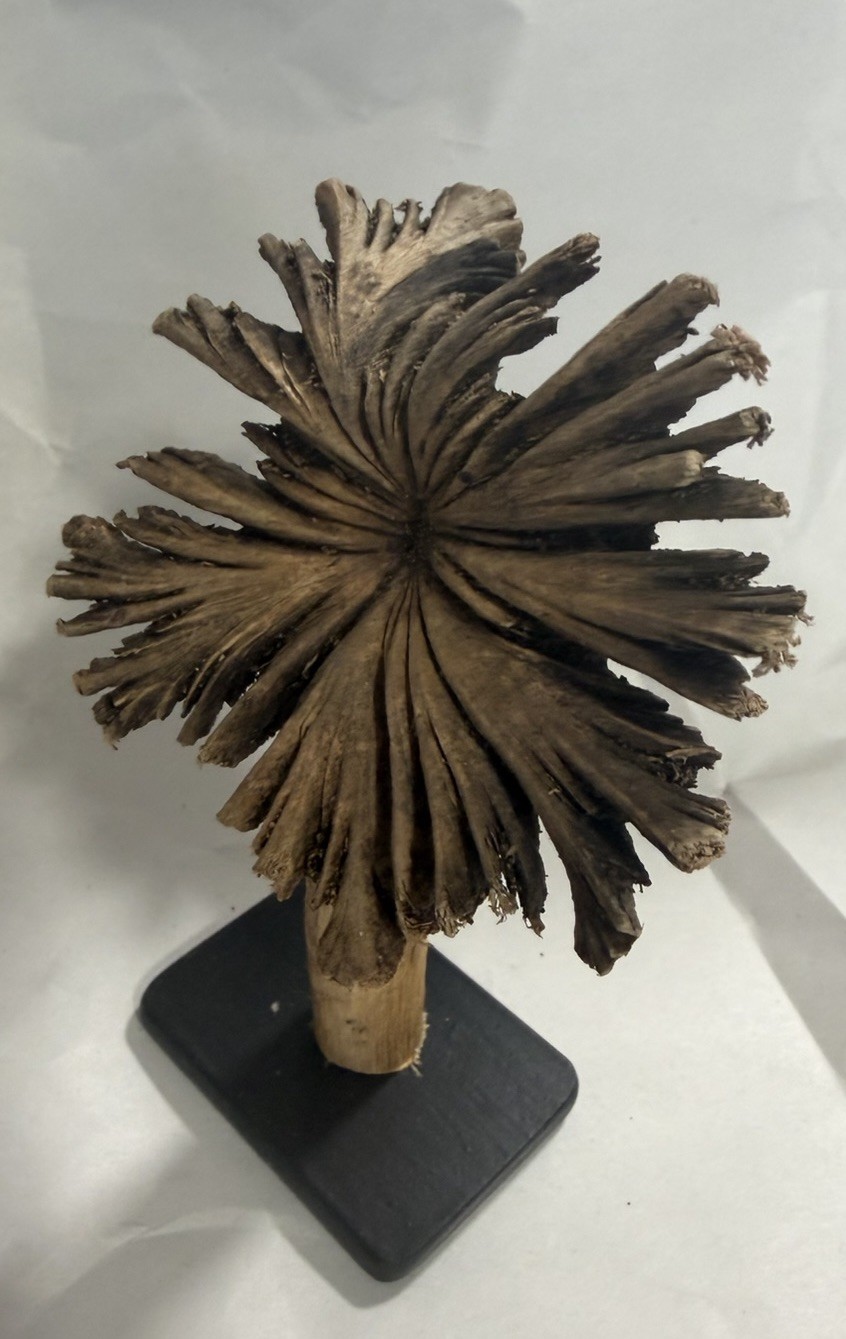 Rare Guatemala Wooden Tree Flower / Tree Ear on Iron Stand.