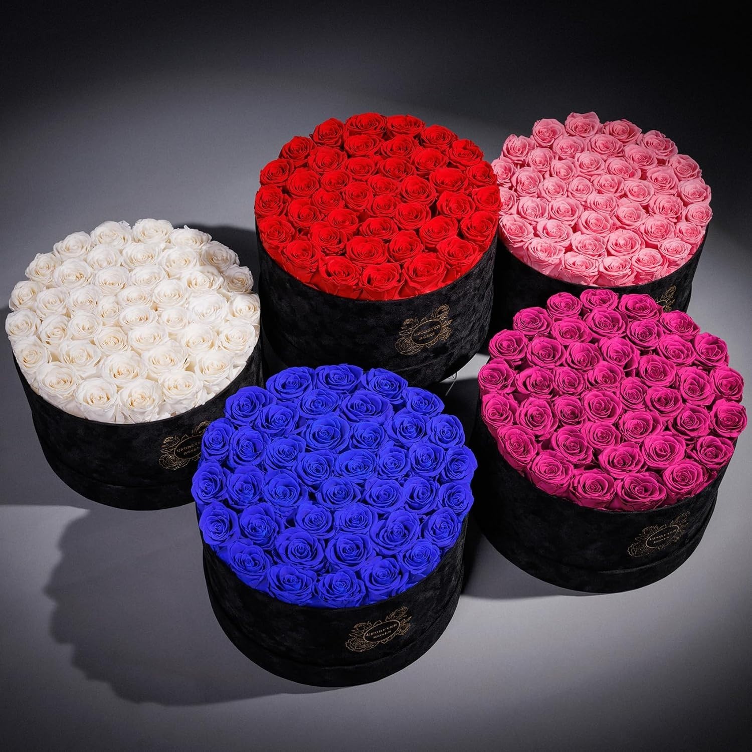 Charming 40-Piece Preserved Roses Gift in Suede Box: Lasting Elegance for Her