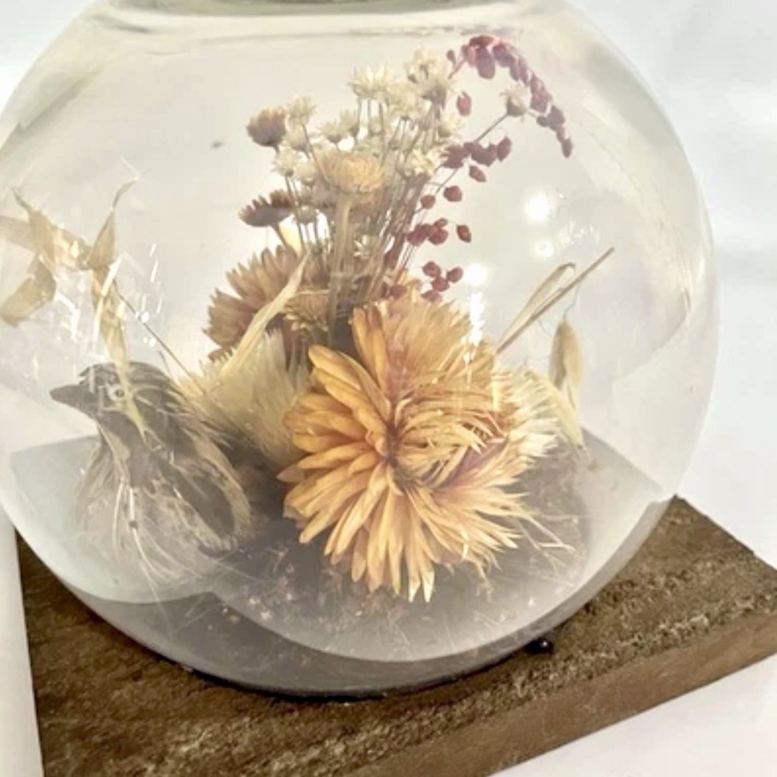Vintage 60s Dried Flower Glass Terrarium Bird Floral Strawflower Daisy Bouquet