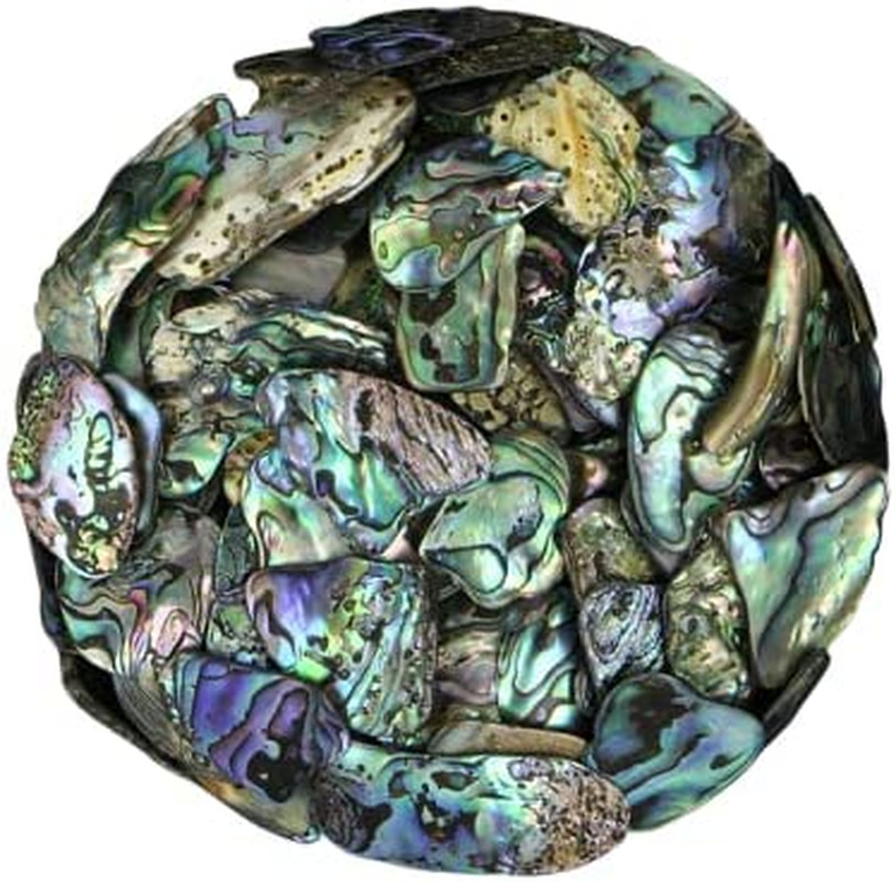 PAUA (Abalone) Shell Pieces Satin for Beach Theme Party, Wedding Decorations, DI
