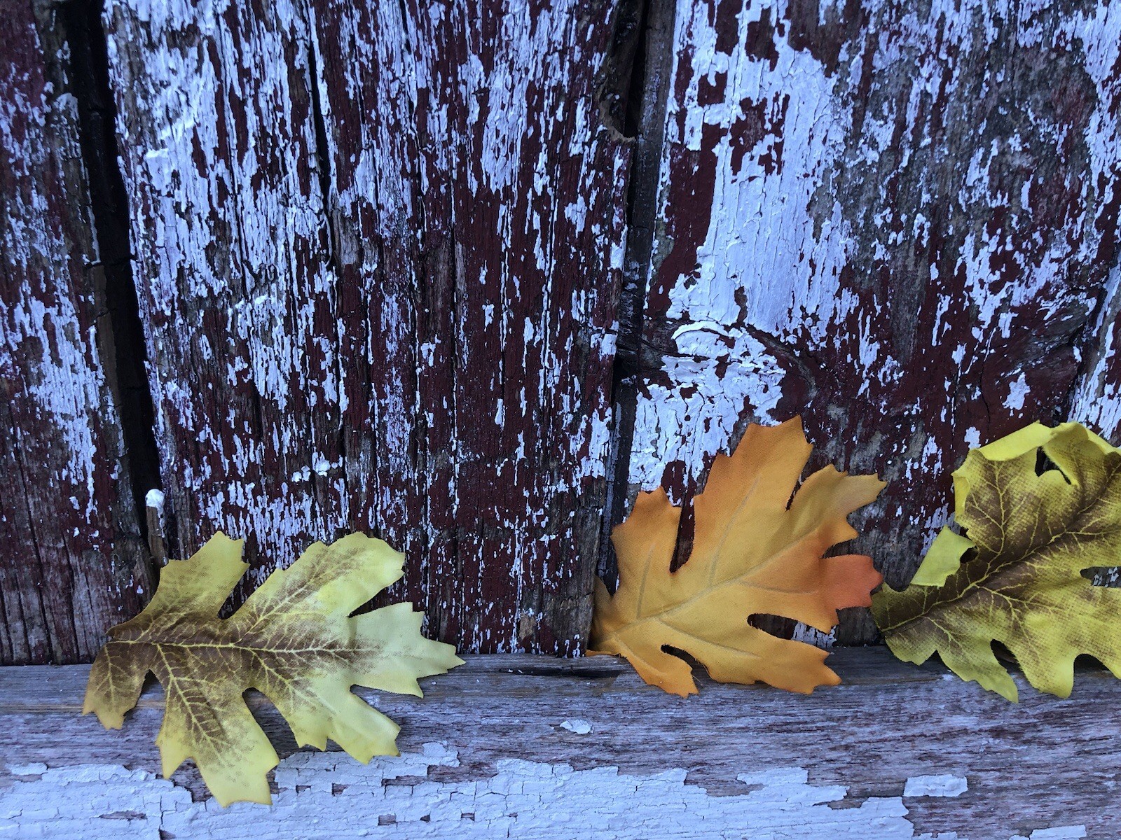 36 Sunny Ridge Oak Fall Leaves Autumn Artificial LOOSE in A BAG Wedding Decor