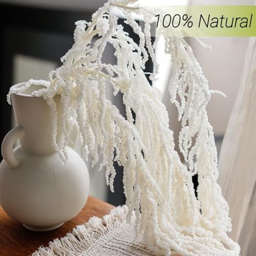 Pcs Natural Dried Wisteria Hanging Flowers – 23″ Bleached White Preserved 10