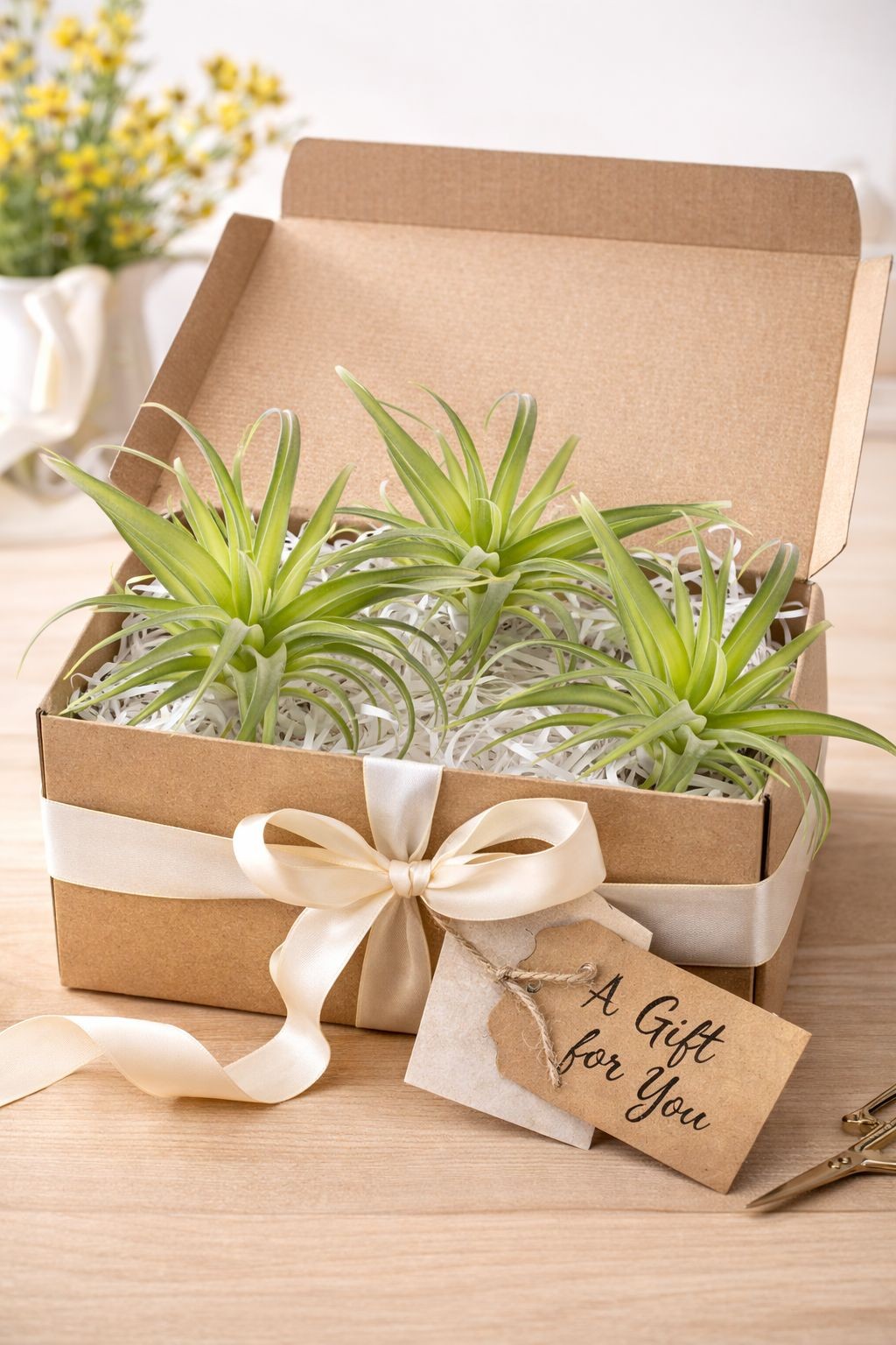 Artificial Air Plant Set of 3 Real Touch Faux Tillandsia Plants Small Faux Air P