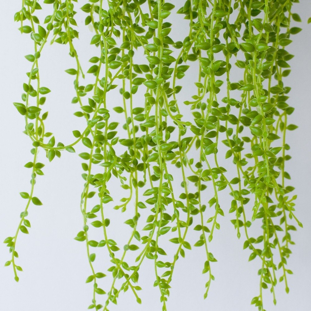 Decorative for accent Artificial Succulent String Aesthetic Appeal Lifelike