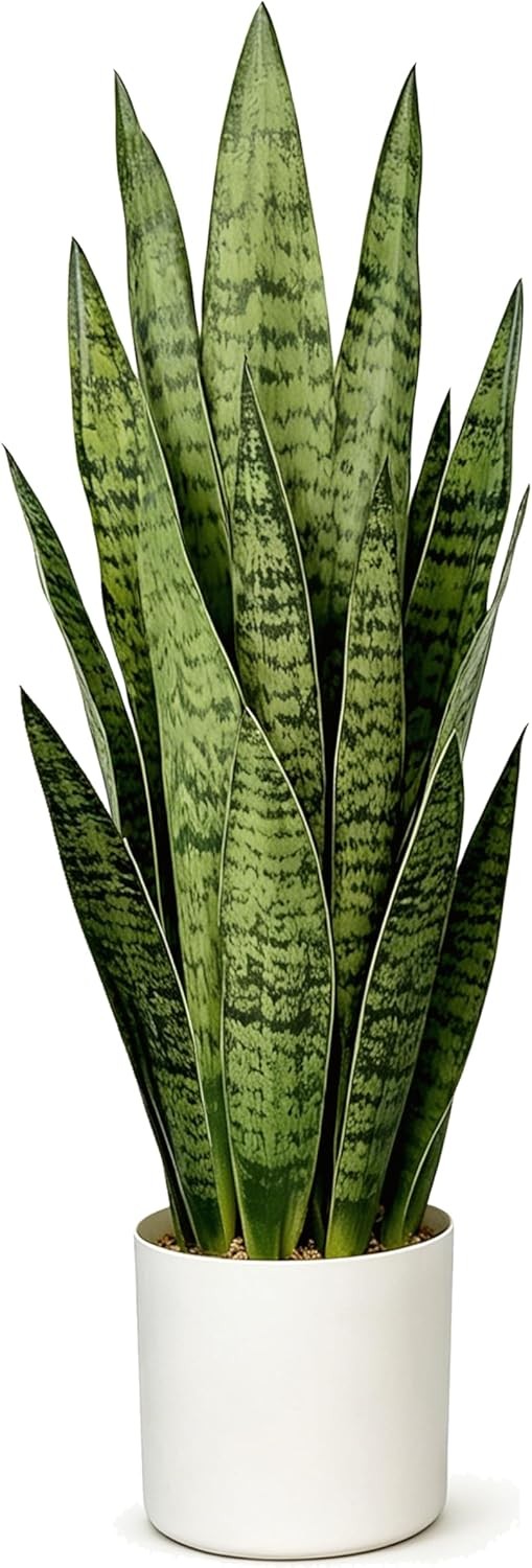 Fake Snake Plant, 27in Artificial Plant with White Pot Realistic Leaves, Low