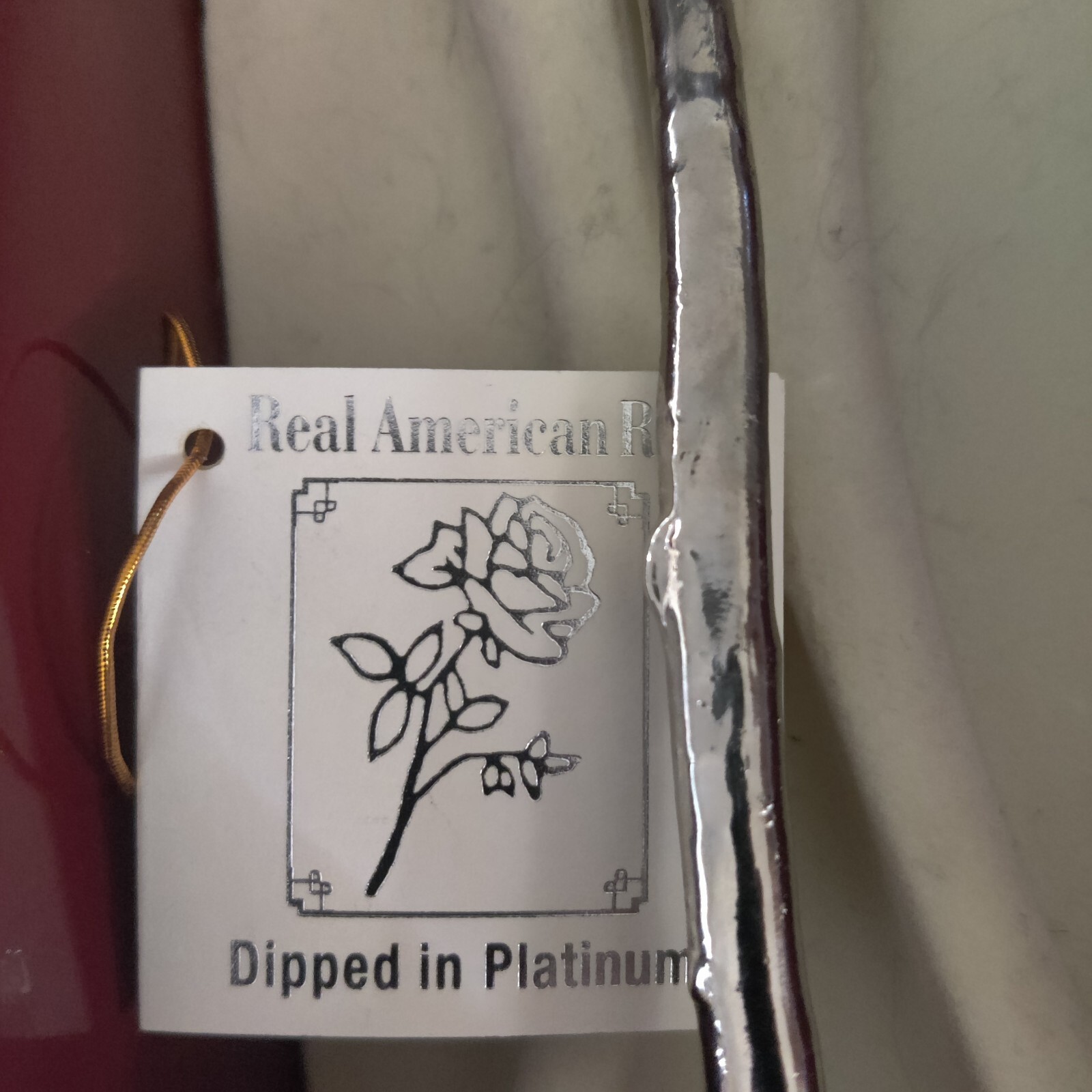 Living Gold Real Rose Dipped In Platinum