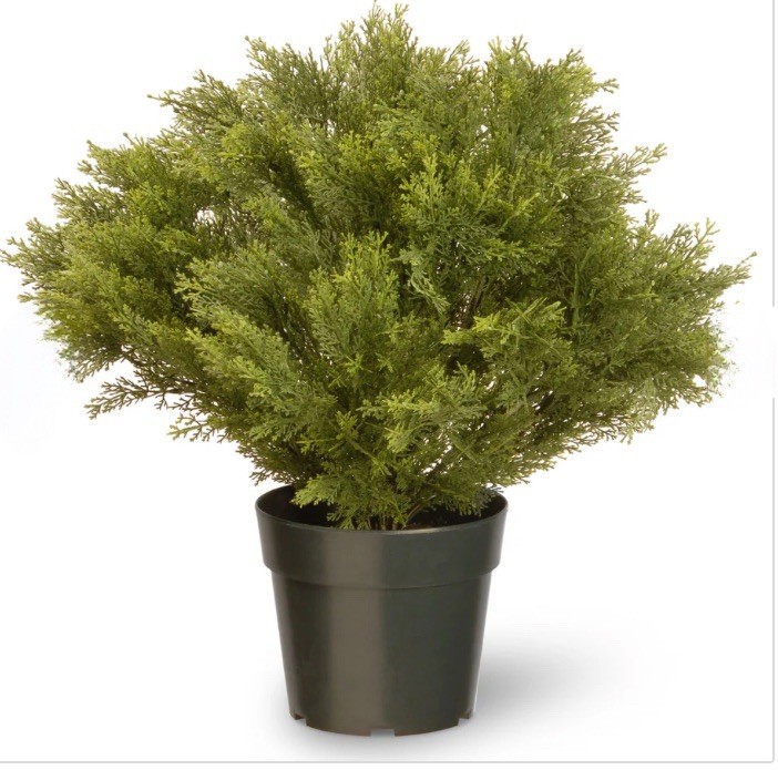National Tree Company Artificial Juniper Tree 24″ Dense Greeenery W/ Growers Pot