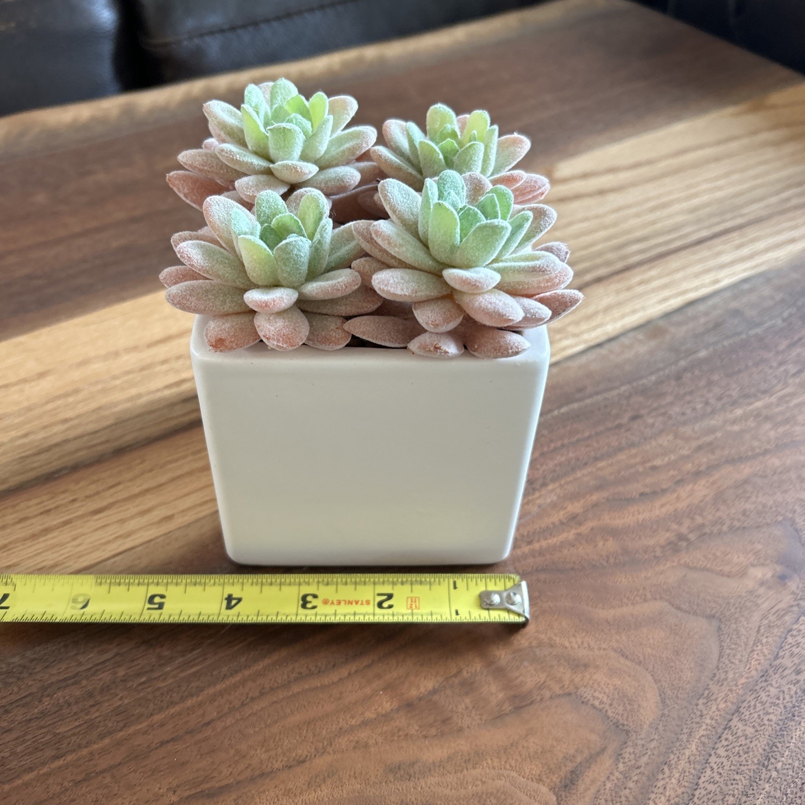Faux Succulents Plants 4 Succulents in Pot for Home Bathroom Bed Gifting