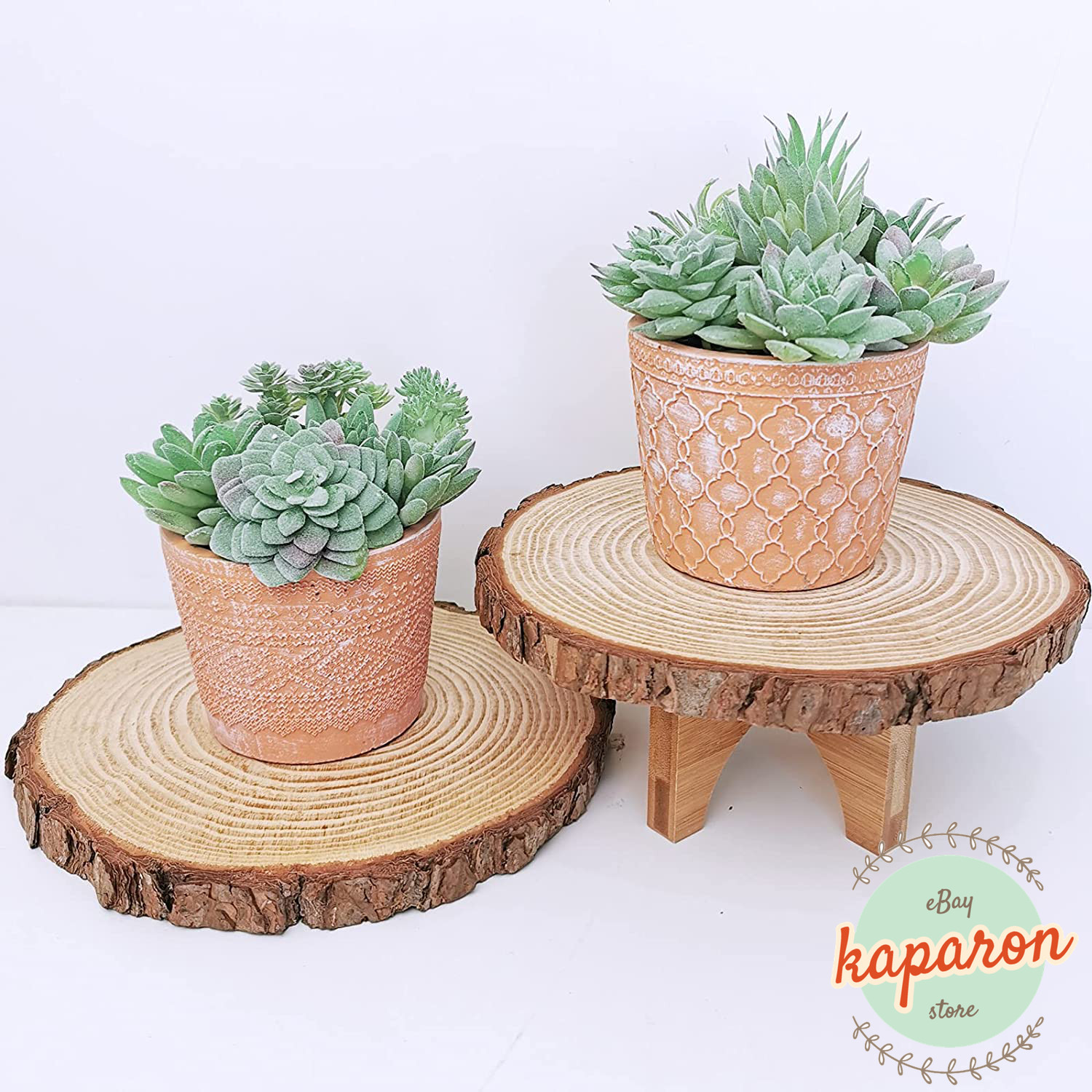11Pcs Artificial Succulent Plants, Mini Unpotted Fake Faux Succulents Green