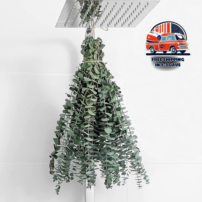 12 Tallos de Eucalipto 43cm para Ducha Colgante Hojas Naturales Secas Decoración