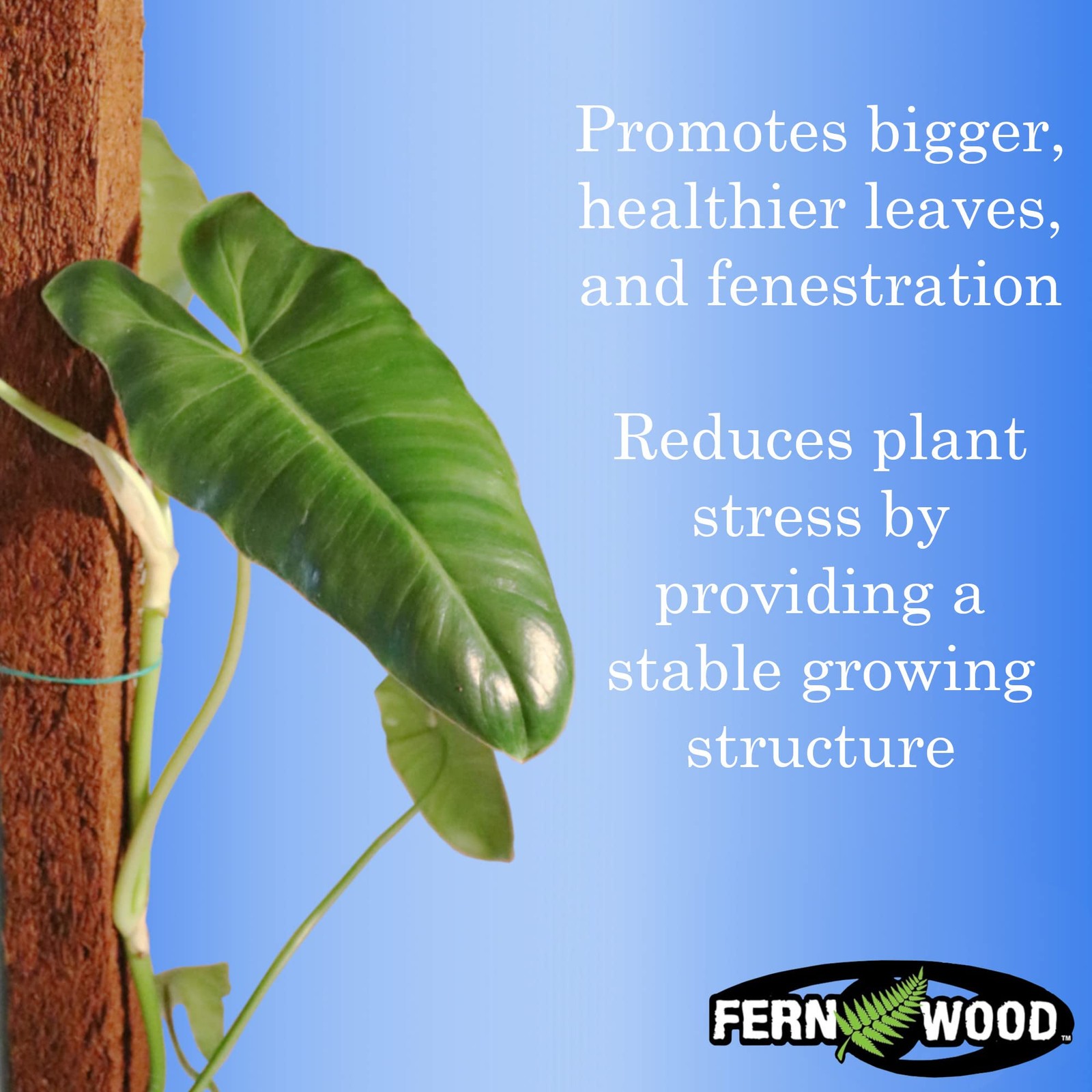 Tree Fern Totem Board- for Orchids, Aroids, and Other Climbing Plants | Soft,…