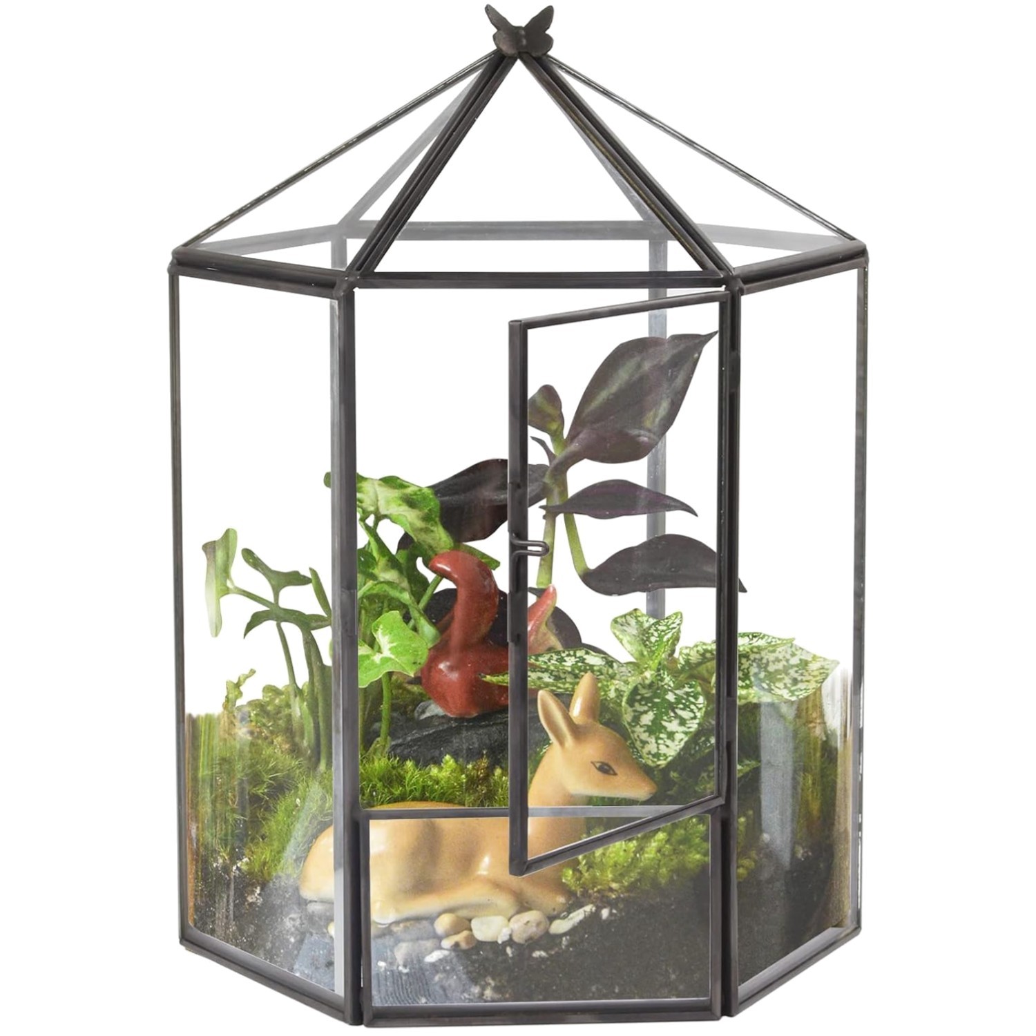 Hexagonal Black Plant Terrarium Kit