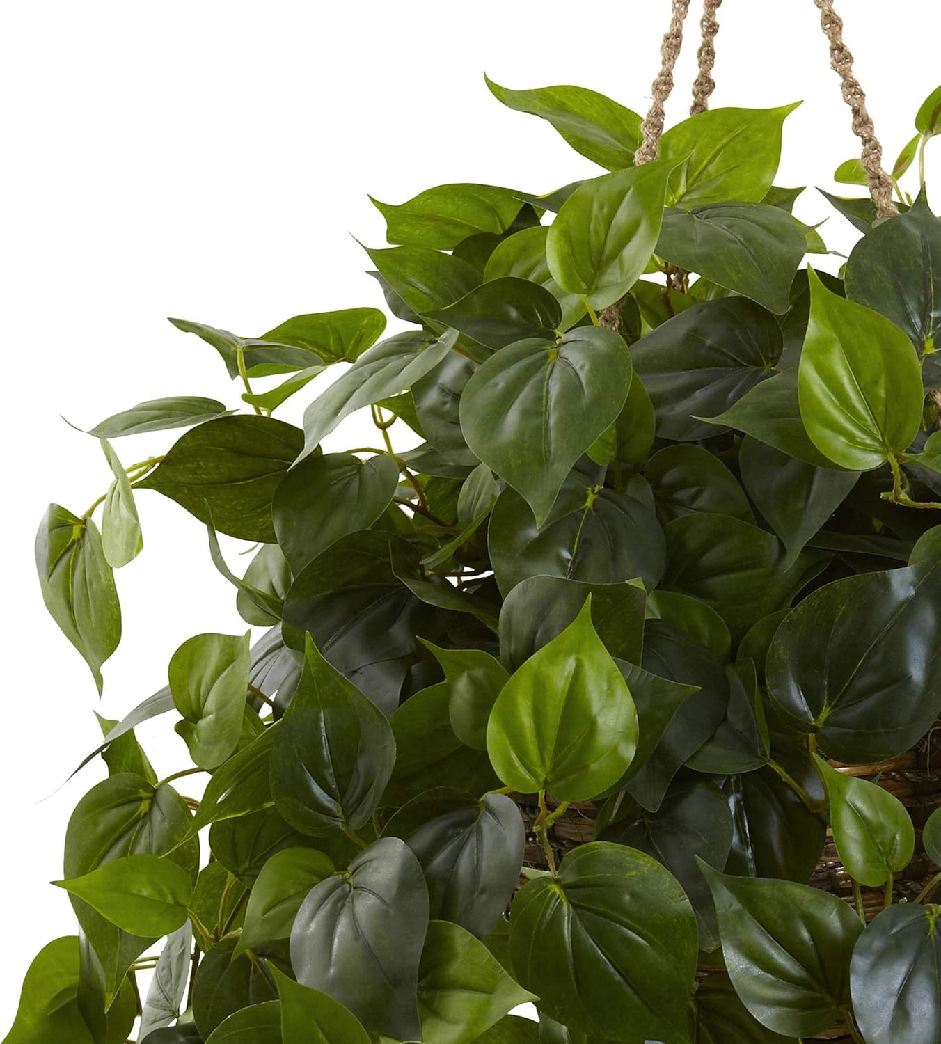 UV Resistant Philodendron Hanging Basket for Indoor & Outdoor Use