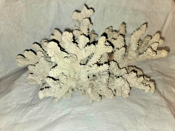 Large Faux Coral Decor Centerpiece – Heavy 4lb Cast Stone – Coastal Home Decor