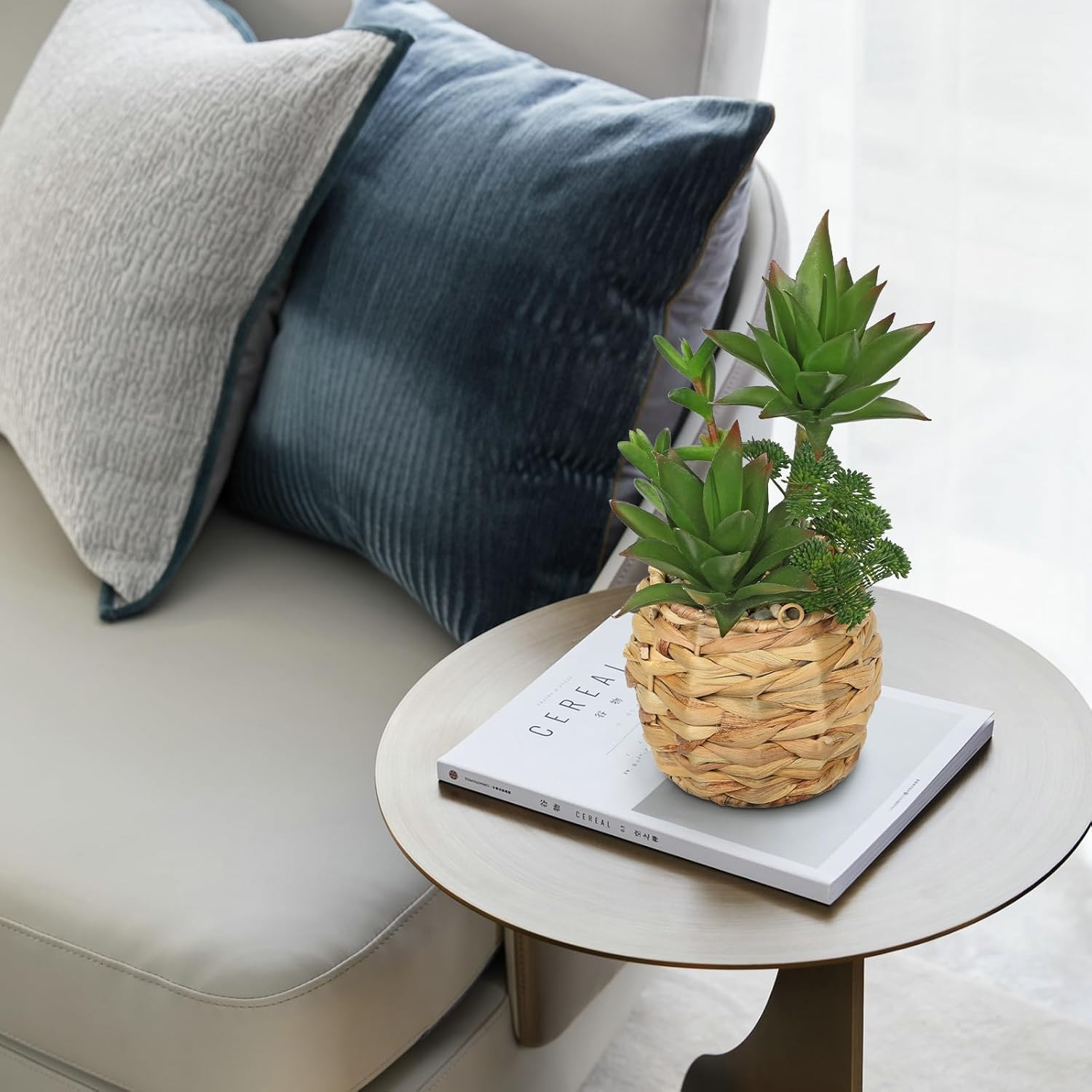 10″ Large Succulents Plants Artificial in Wooden Pots, Fake Succulents in Woven