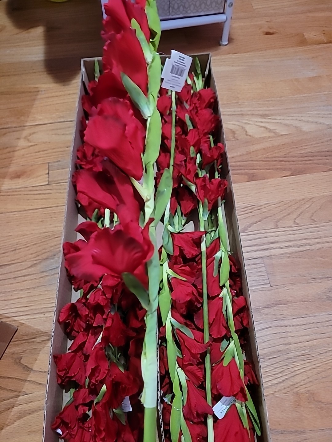 6 Pk Artificial Red Gladiolus Flowers Stem approx 36 inch long By Better Homes