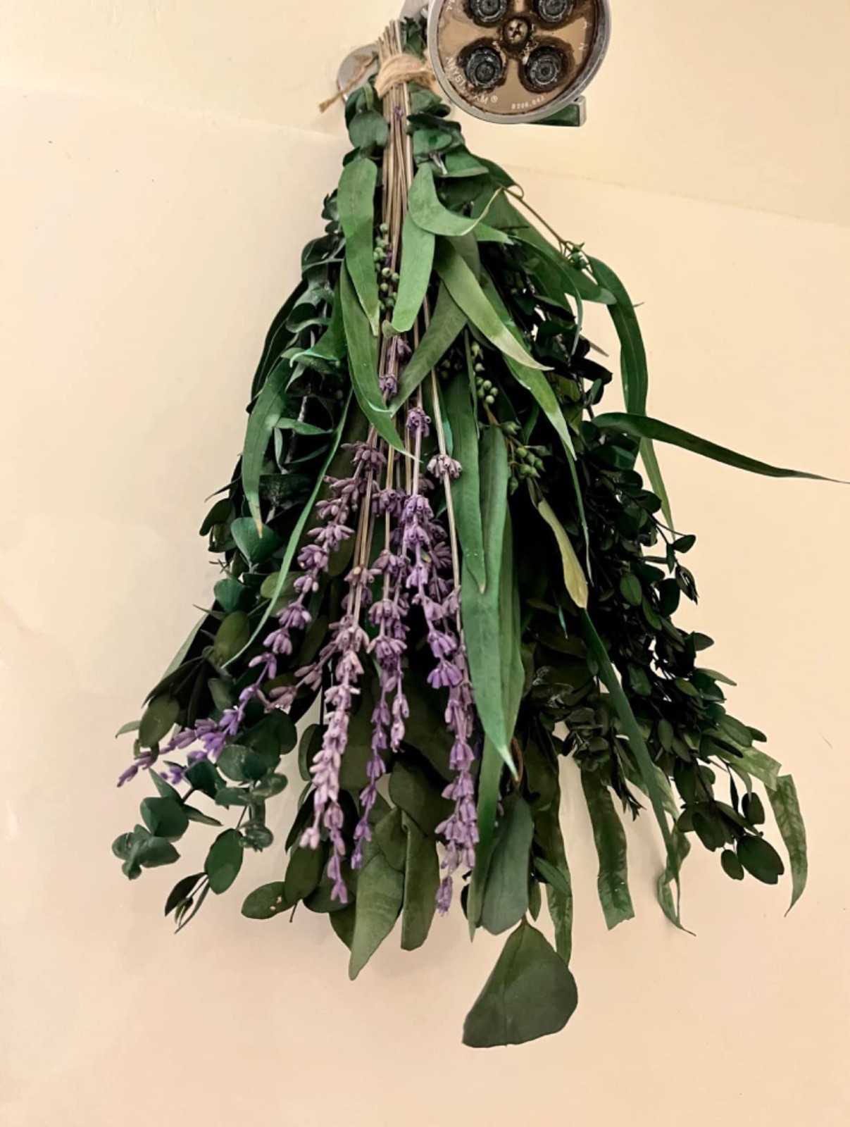 17 Inch Eucalyptus and Lavender Stems Aromatic Plant for Shower and Home Decor