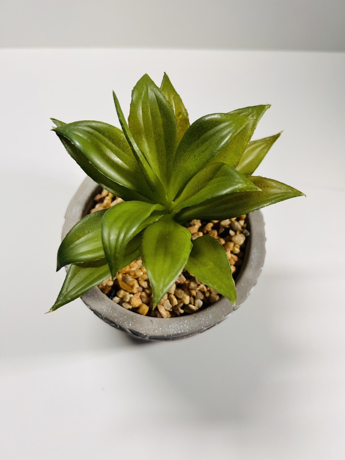 Small Artificial Succulents in Pots Realistic Gray Stone Pot Decor