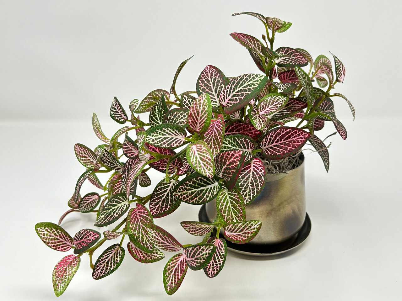 9″ Small Artificial PINK FITTONIA NERVE faux Silk plant in Silver Metal 3.5″ Pot