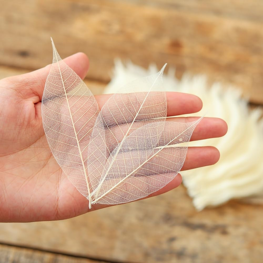 Real Leaves Natural Color100 PCS 4-5 Inches Natural Skeleton Leaves, Real Rubber
