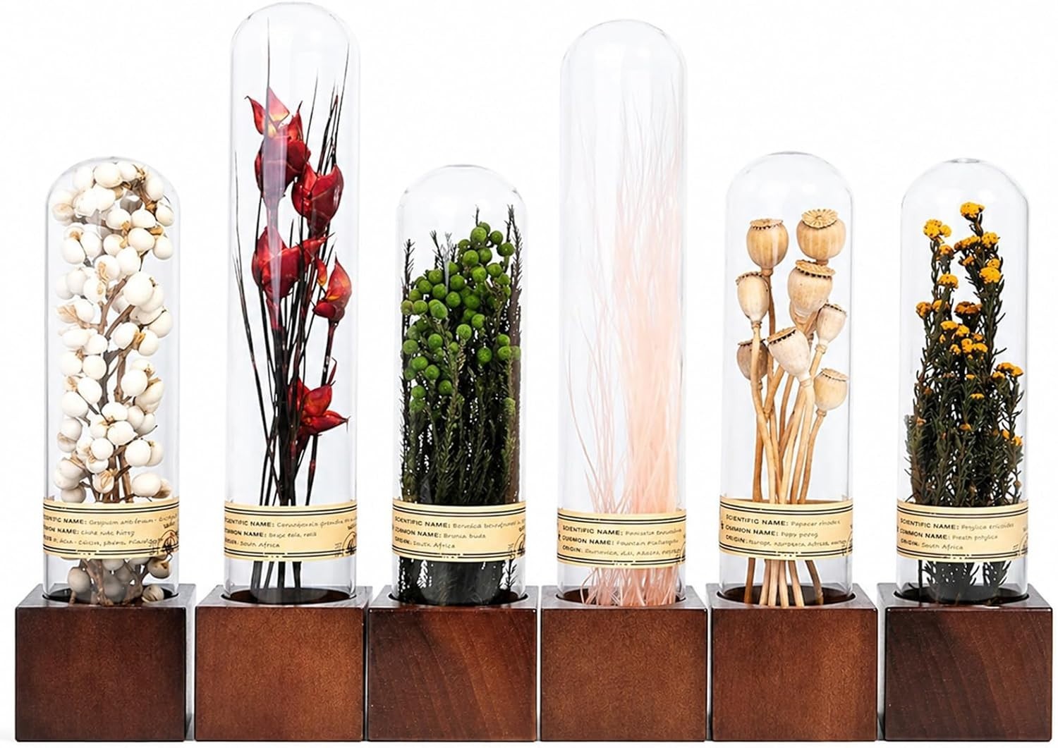 6Pcs Dried Flower Decor,Knick Knacks for Shelves,Cool Stuff for Bookshelf,Sma…
