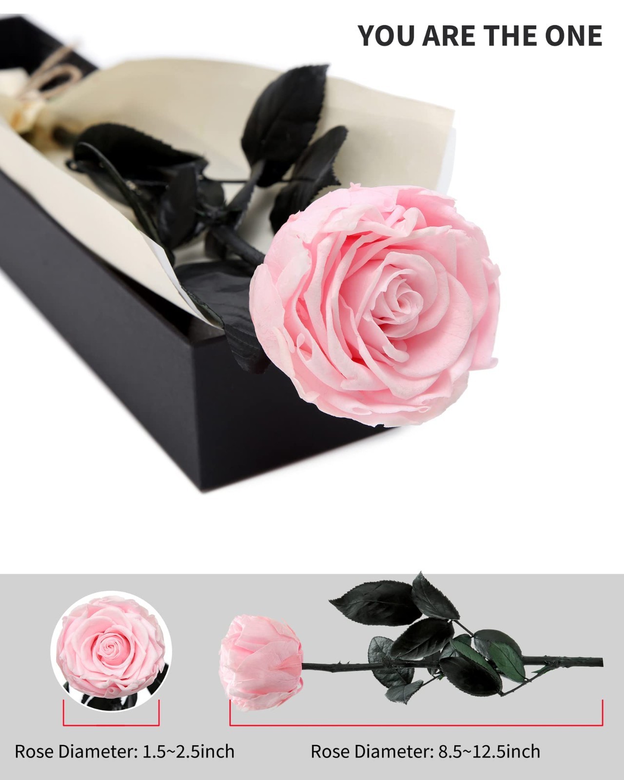 Preserved Real Rose Gift for Women, Mom Birthday Valentines Flowers