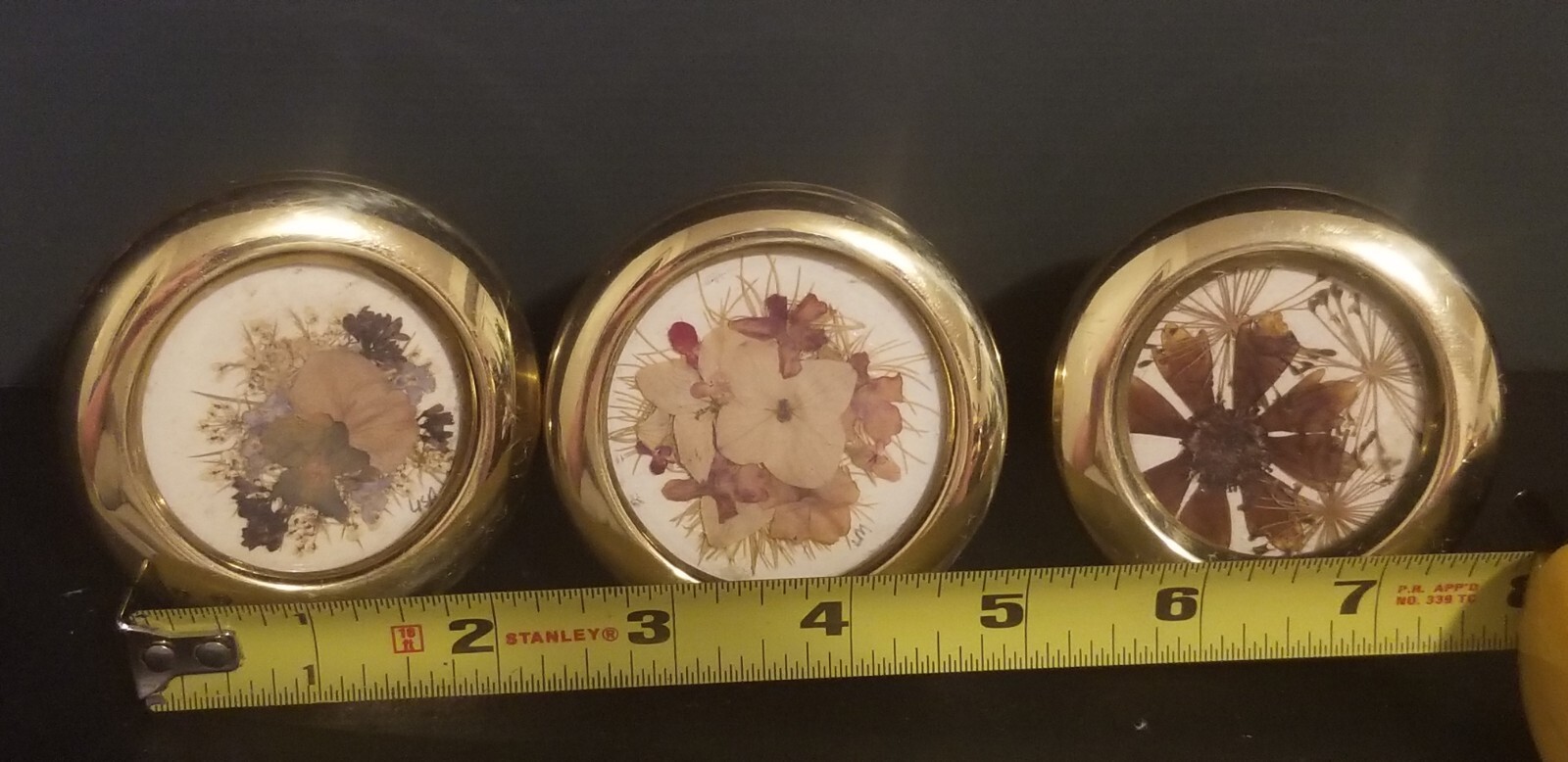 THREE Small 2 3/4″ Press Dried Flower #11 Multicolors Framed FF25