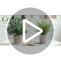 2 Pack Artificial Eucalyptus Plants Small Potted Fake Greenery for Home Decor