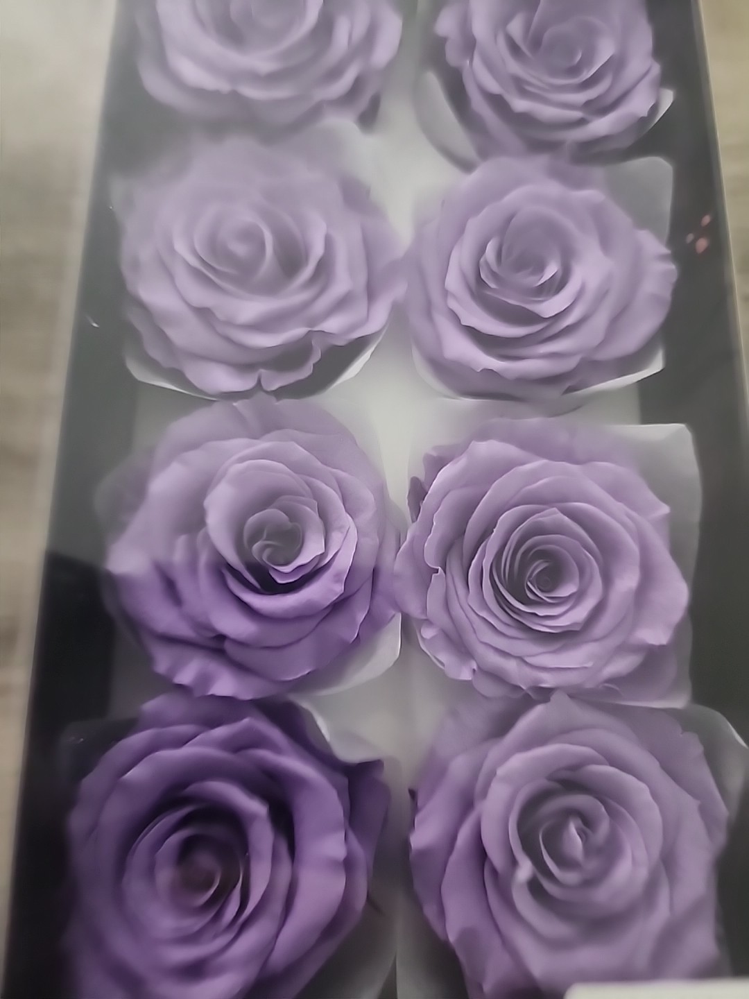 Lot of 8 Preserved Rose Flowers -100% Real -Preserved by Earth Matters PINK