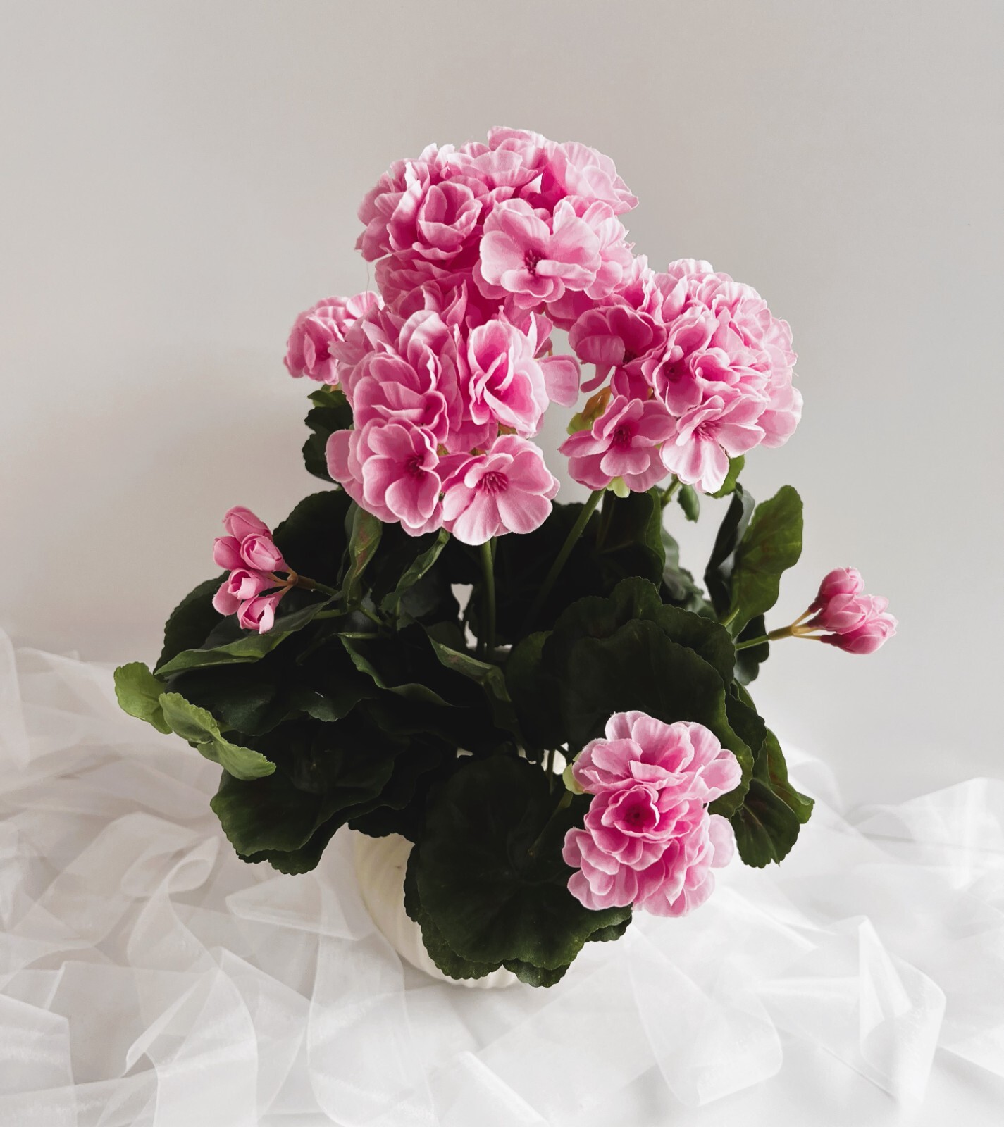 Geranium Bush Pot Plants Faux Silk Geraniums Red Blush Pink Cream Bush Plant x 1