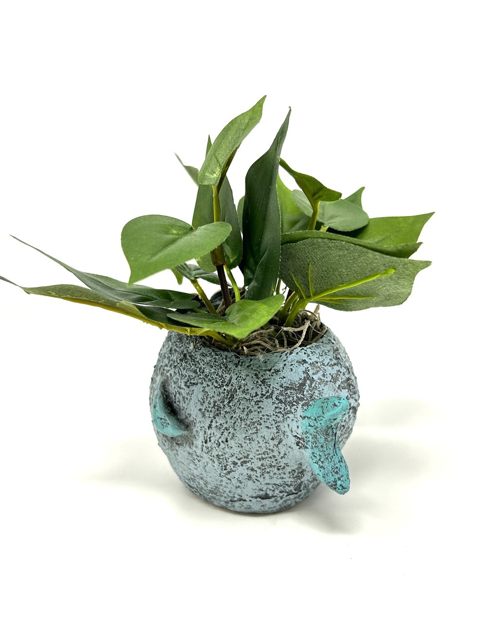 5″ Potted BUBBLES Blue FISH Blob House Mini pot with silk Green Pothos as shown