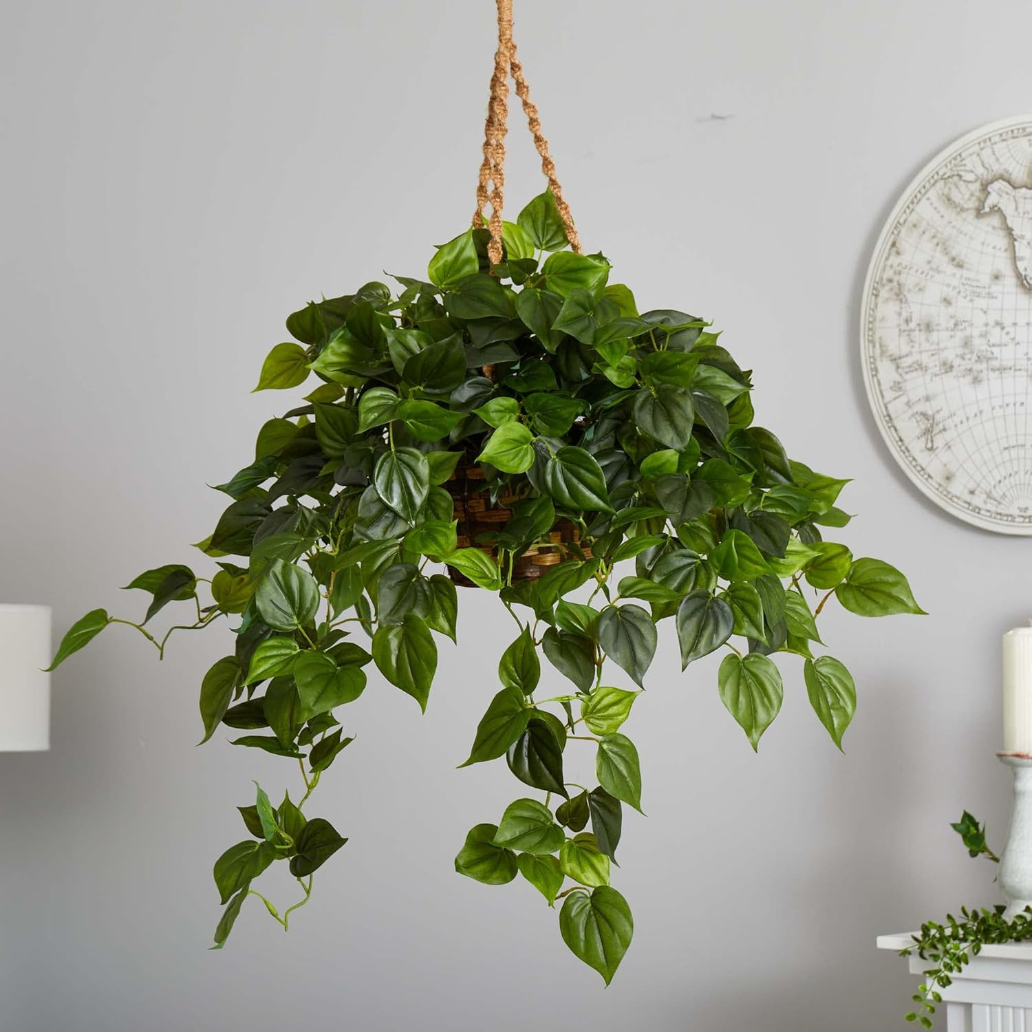 UV Resistant Philodendron Hanging Basket for Indoor & Outdoor Use