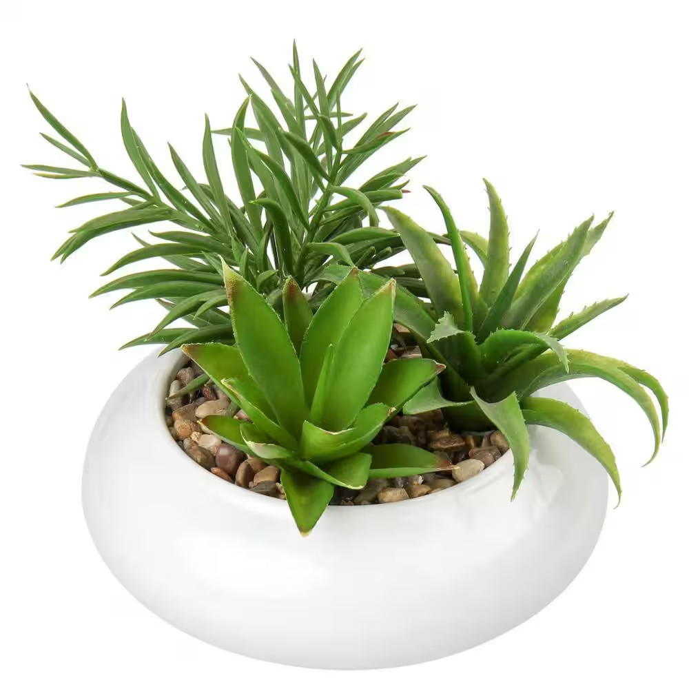 Potted Artificial Succulent Plant with White Ceramic Pot