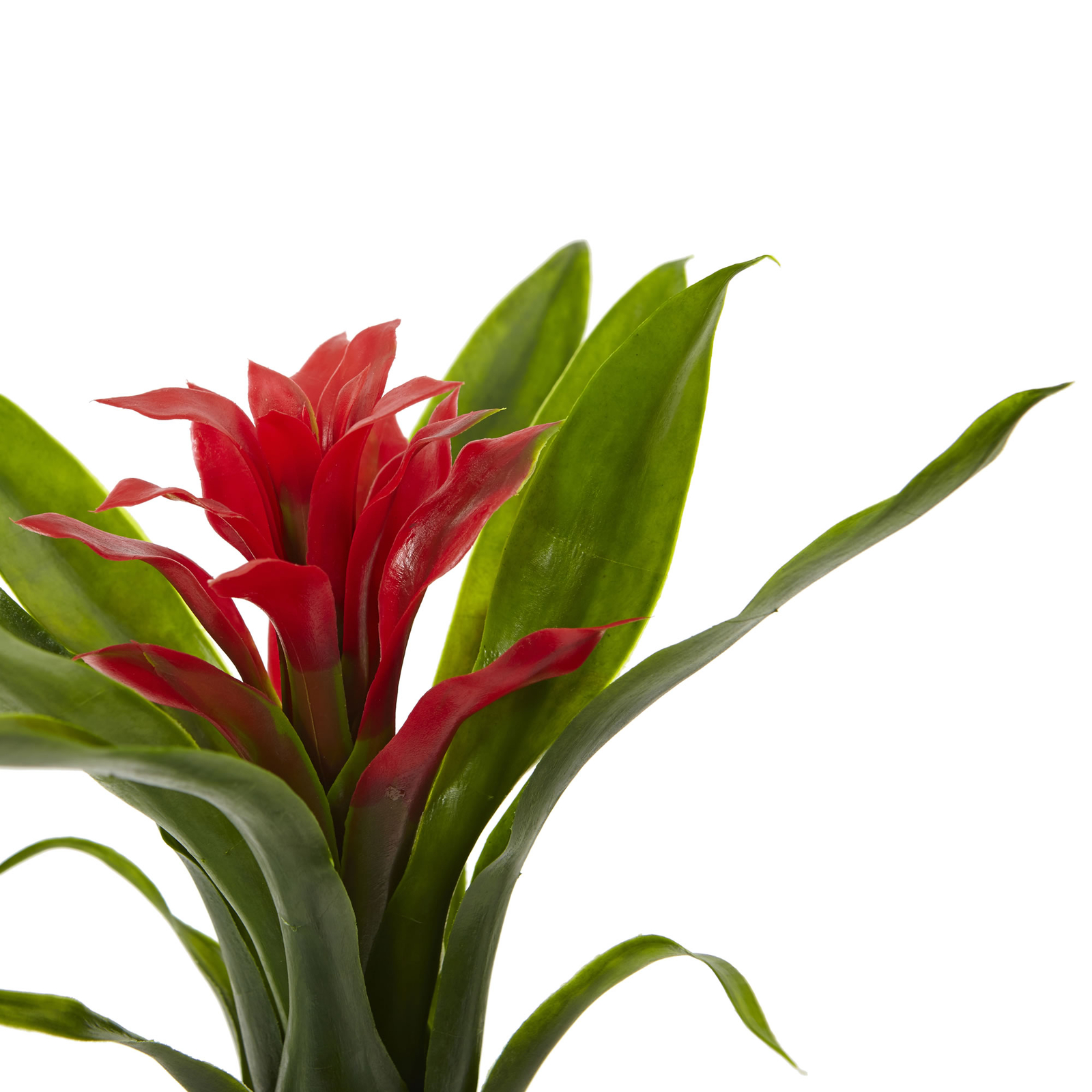 10” Bromeliad faux Flower Red Green Leaves Natural Set Of 6