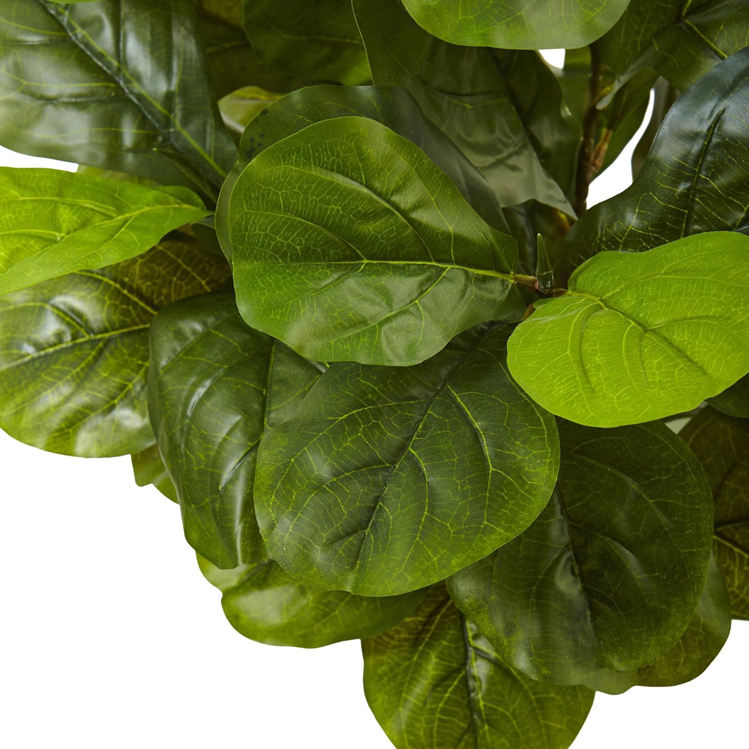 4.5Ft Real Touch Fiddle Leaf Fig in Elegant White Planter