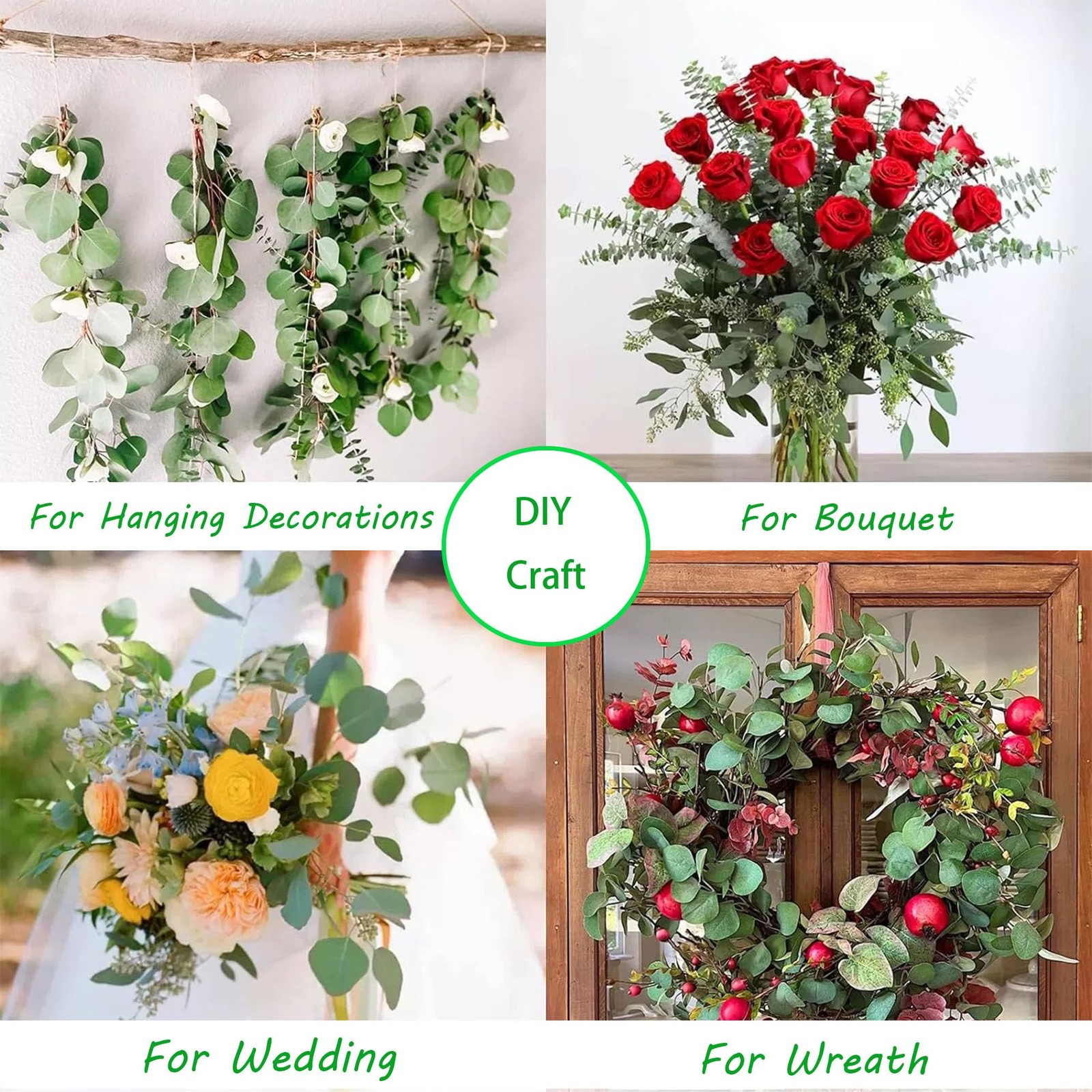 Preserved Dried Eucalyptus & Silver Dollar Seeded Shower Hanging Greenery