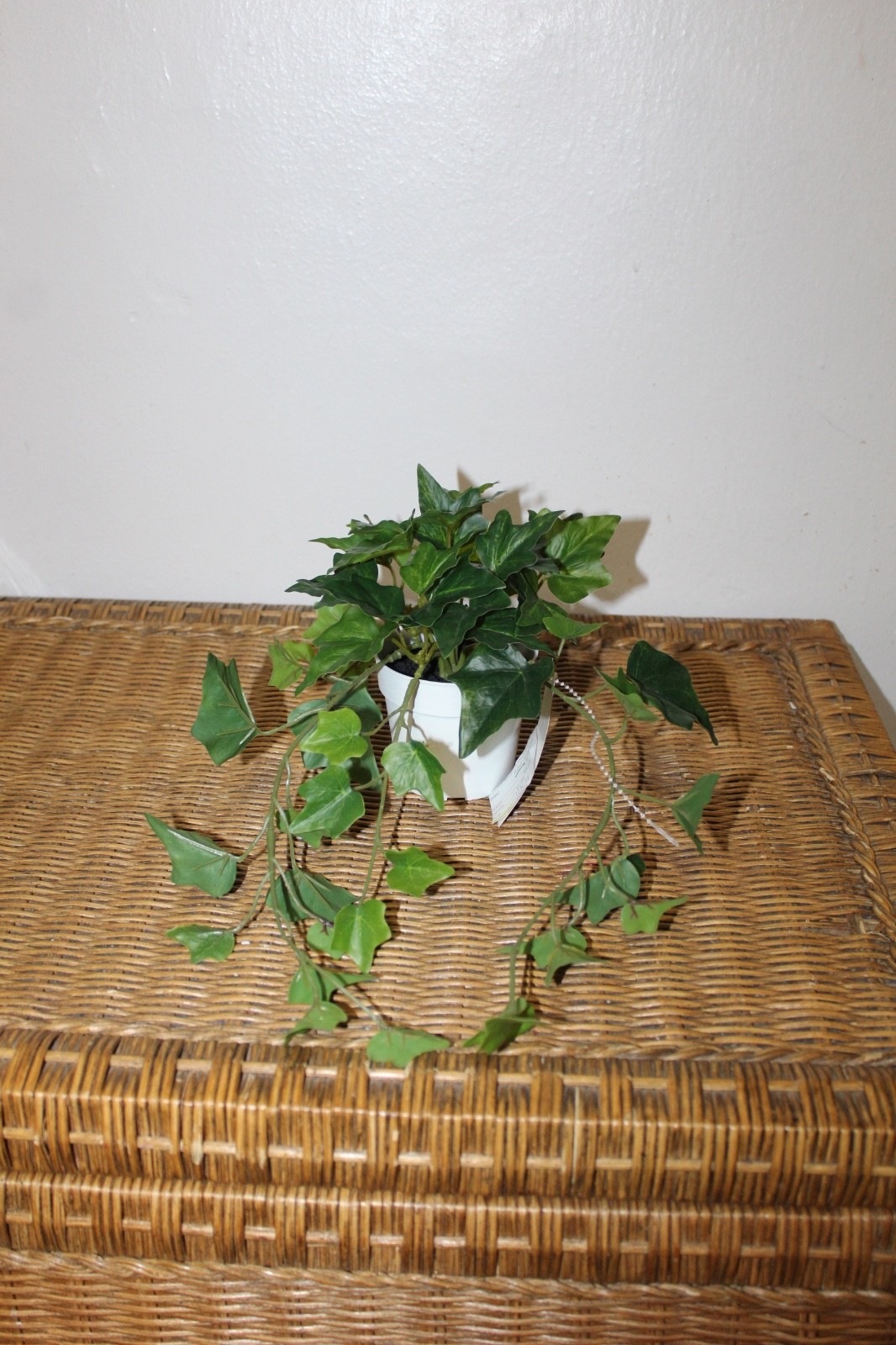 Williams Sonoma Artificial Potted Green Leaf.