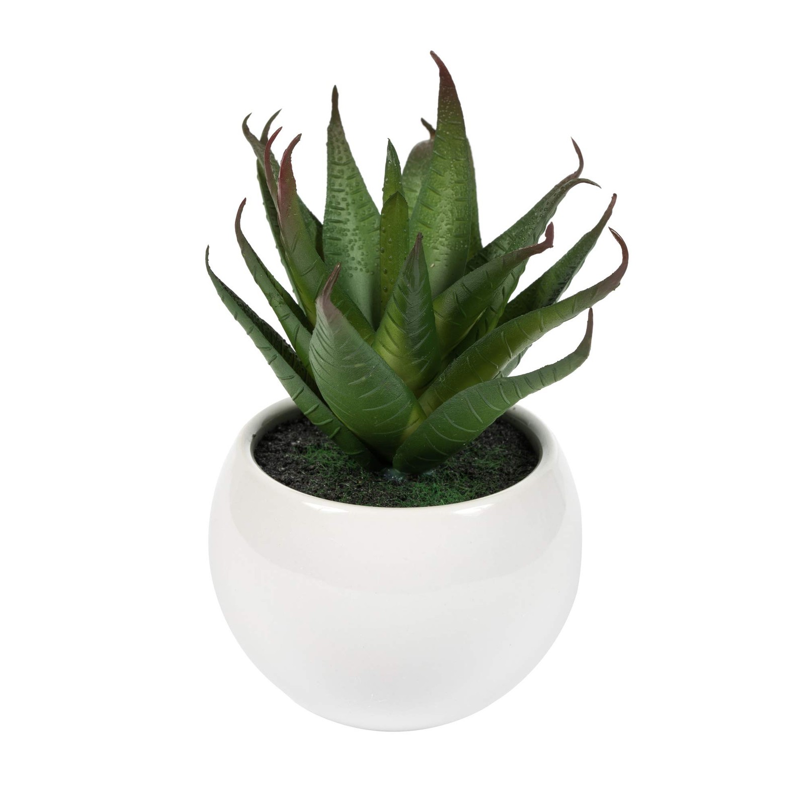Vickerman 5″ Plastic Artificial Assorted Potted Succulents in Green/Red/Gray