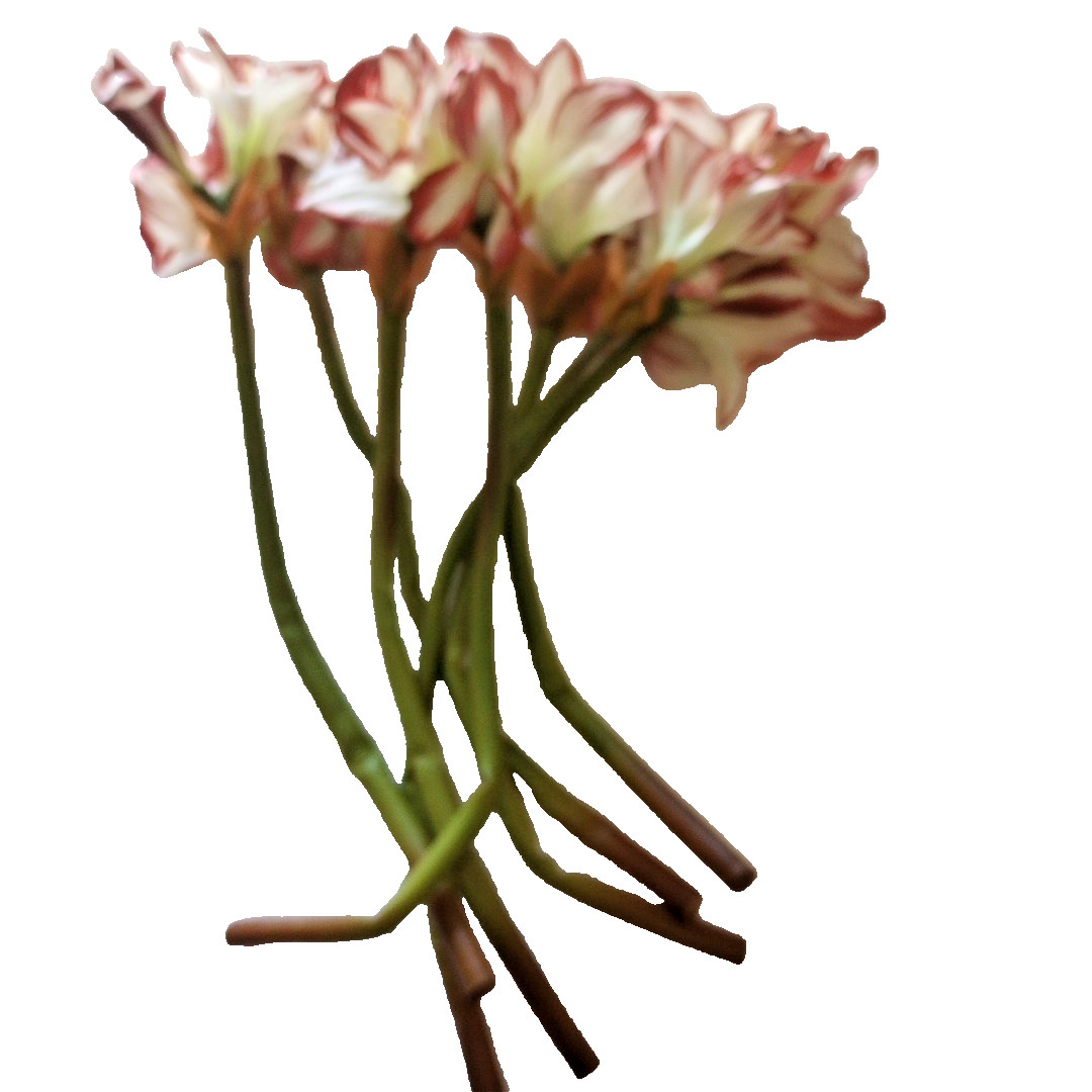 Silk flower Amaryllis Stems 7 Stalks Approximately 29″ Beautiful, Stems AS IS