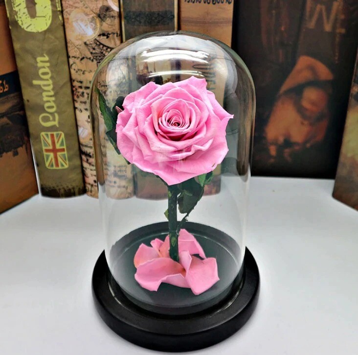 Red Blue Black Pink Forever Flower Immortal Fresh Rose in Glass Valentine’s Day