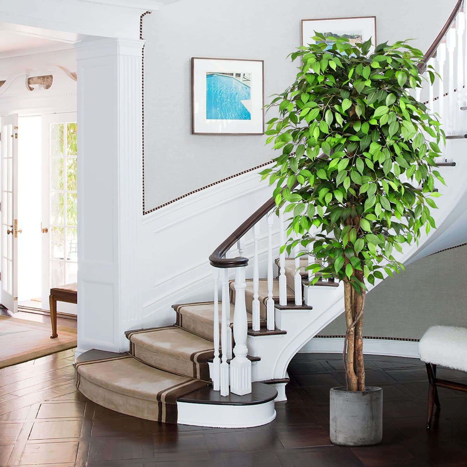 7ft Large Ficus Artificial Trees with Natural Curved Trunks, 84″ Tall Lush Fa…