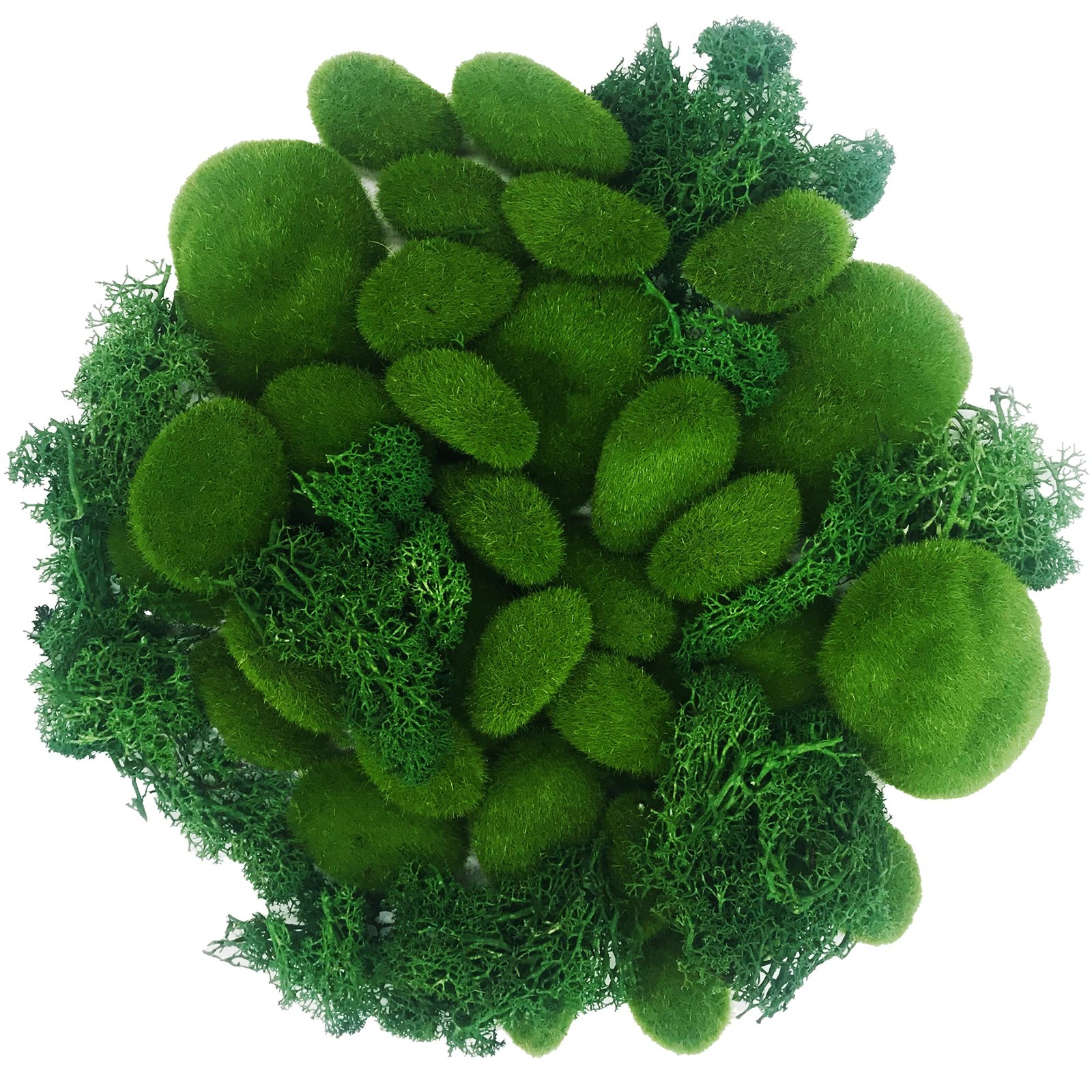 30 PCS Green Moss Balls & 30 Gram Preserved Artificial Moss Decorative Stones