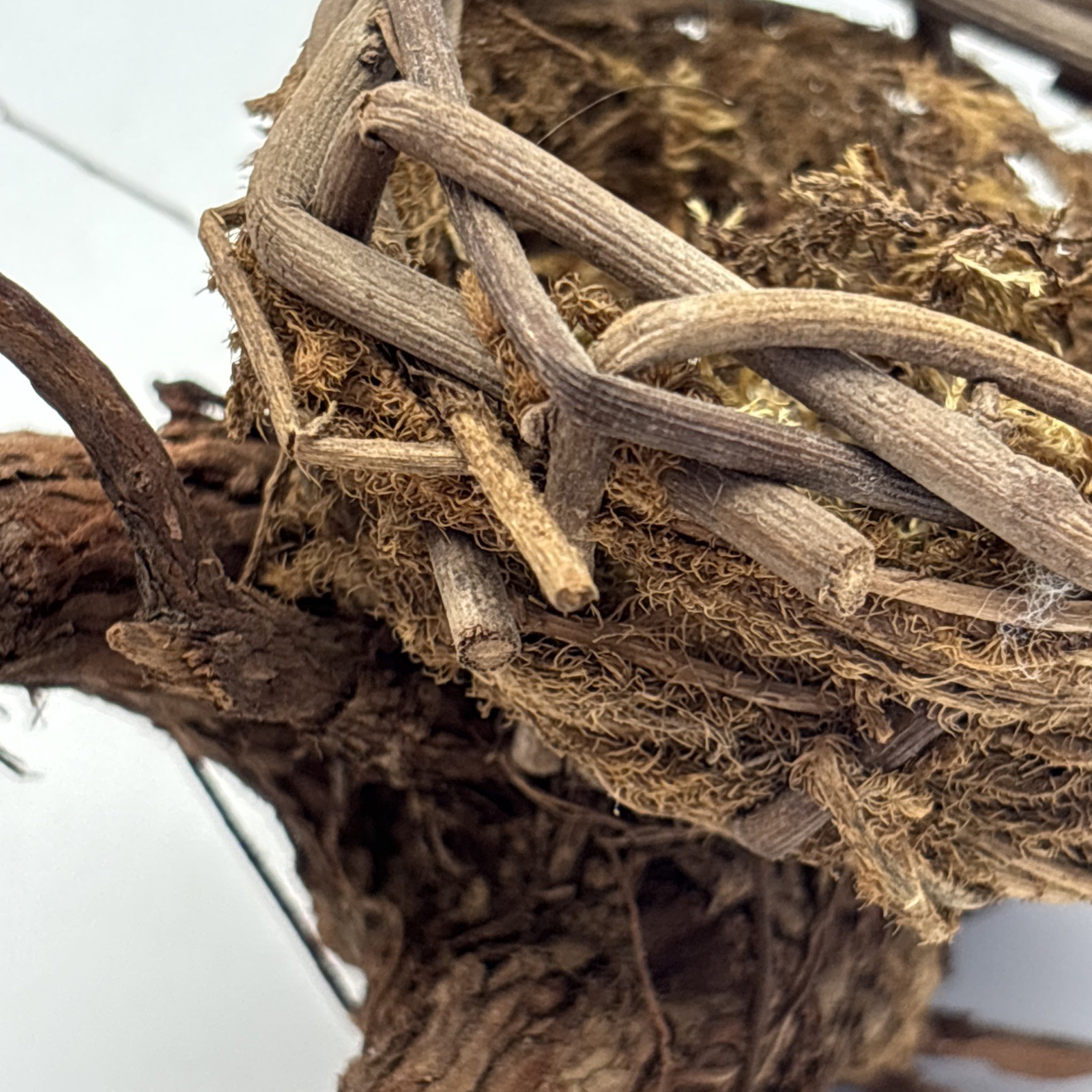 Bird nest Garden decorations, home, floral accent, crafts, center piece