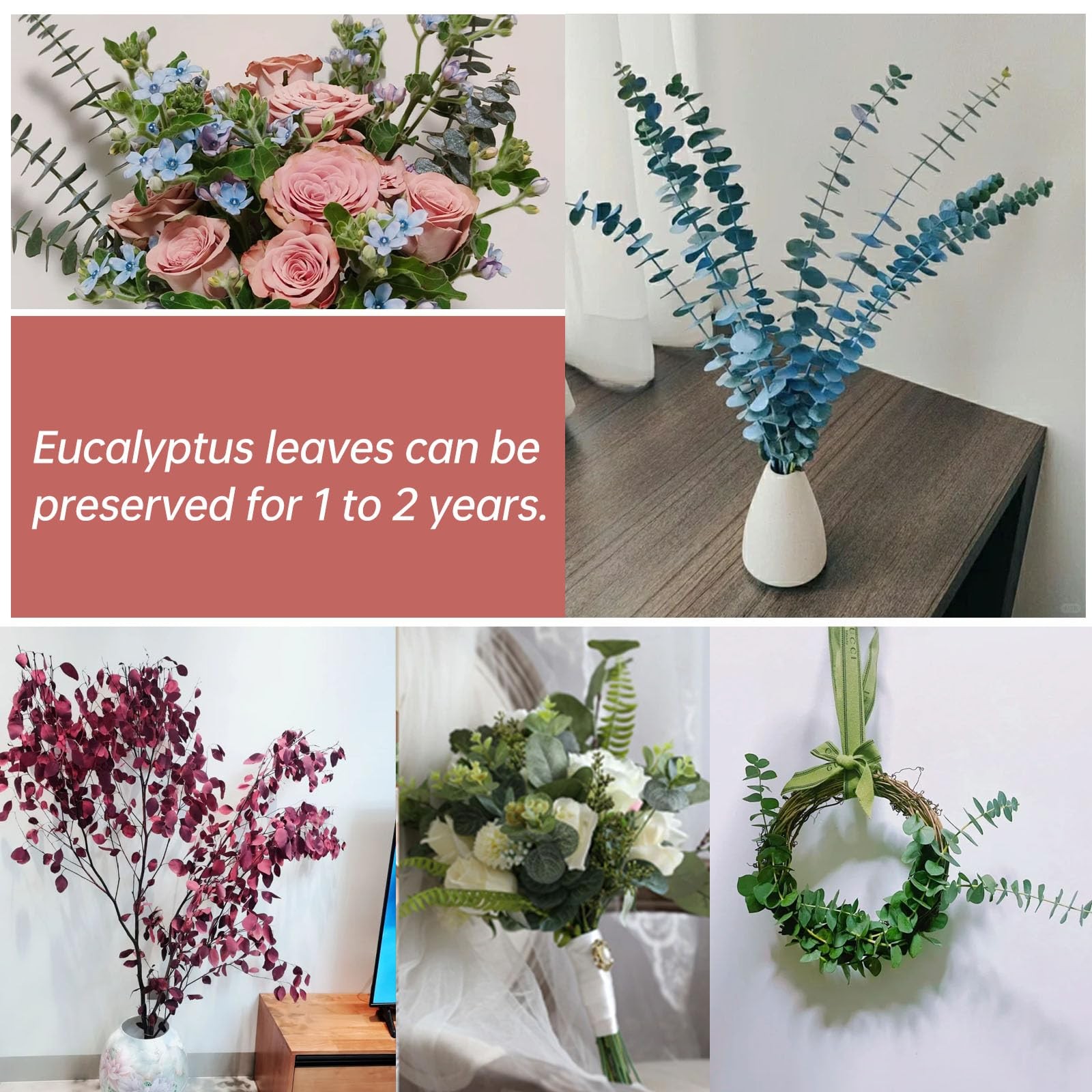 20 Pcs Dried Eucalyptus Stems, 17” Natural Real Live Red Eucalyptus Leaves B…
