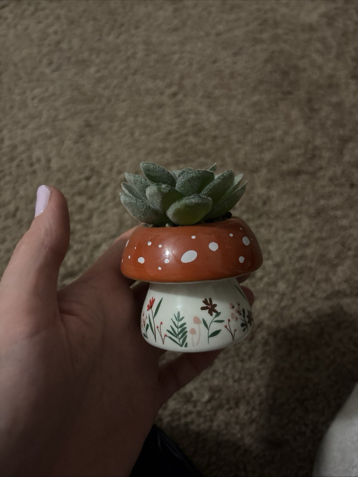 Mushroom Succulent Desk Plant Home Office Decor