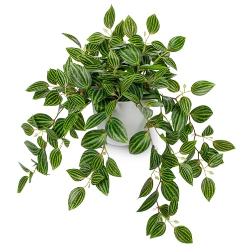 Artificial Plants Indoor Fake Potted Silk Plants Faux Watermelon Green Style#1