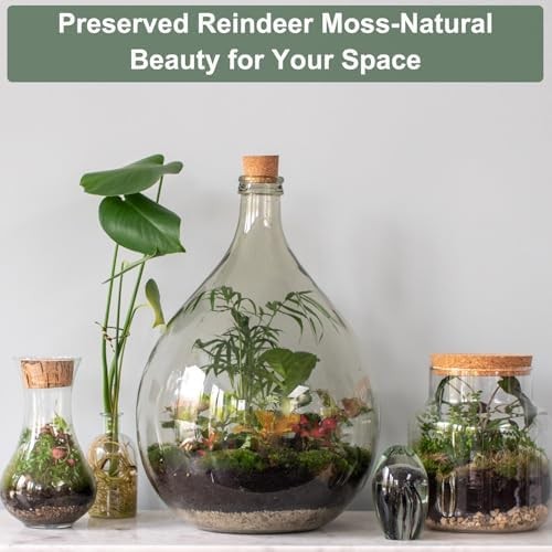 7.4oz Preserved Reindeer Moss, Coffee Brown Decorative Artificial Fake Moss for
