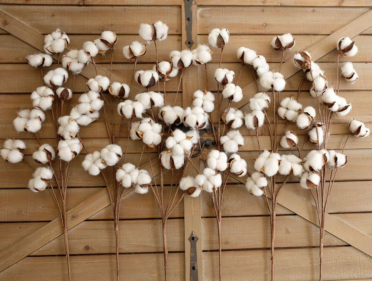 Elegant Cotton Stem Decor – 6 Pcs, 31″ Tall Dried Flower Branches