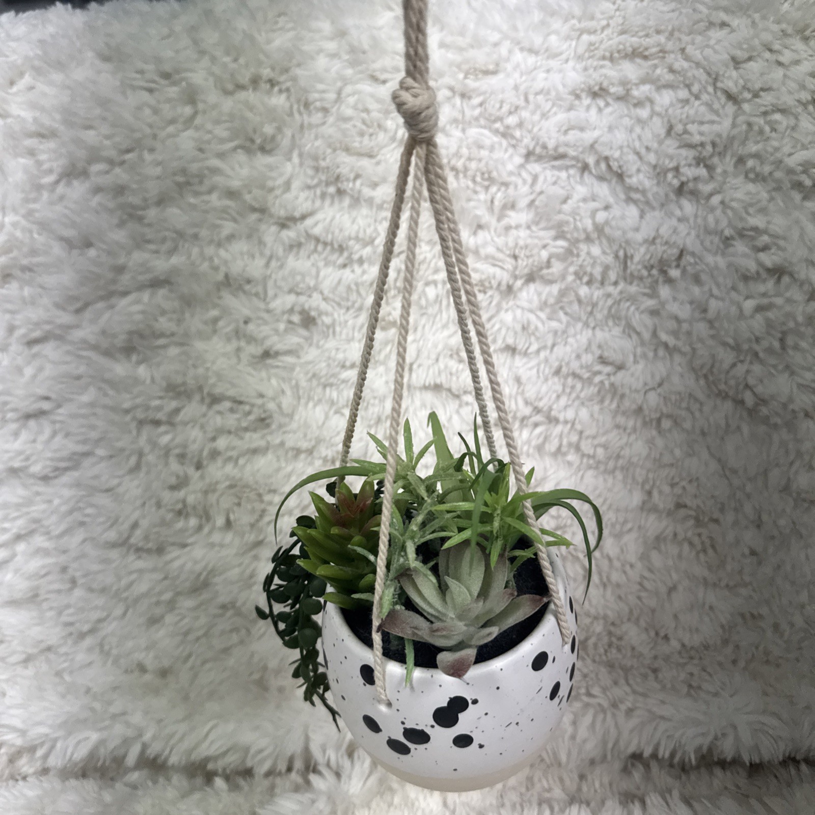 Lot Of 4 Artificial Succulent Plants 3 Vase 1 Hanging